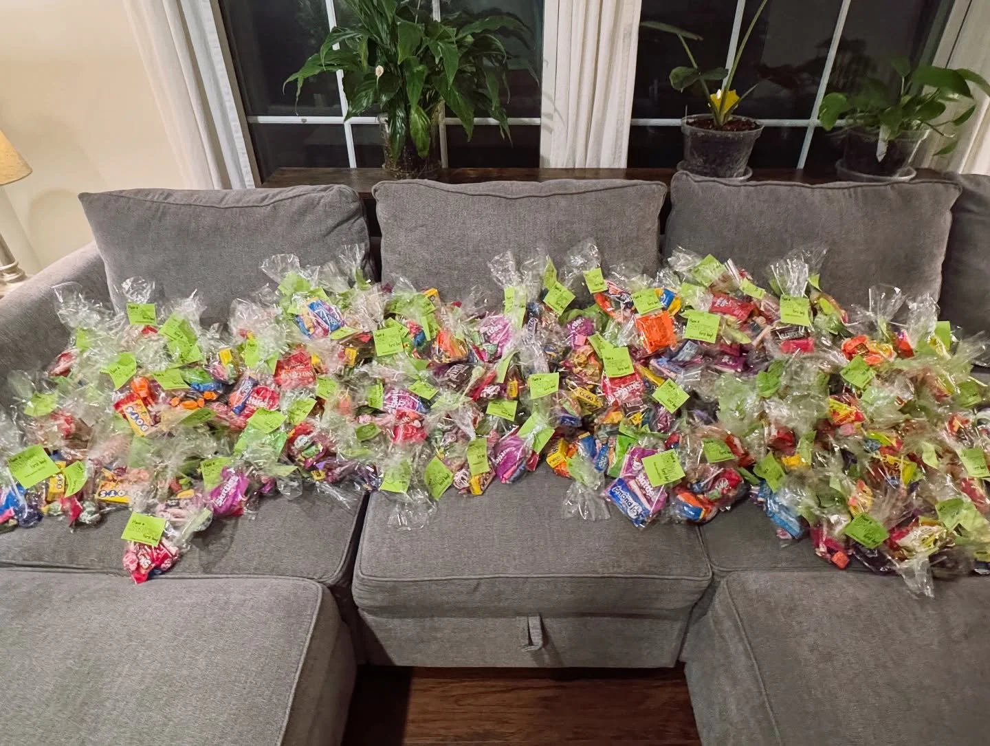 Welcome back, Wolverines! Candy bags are ready to be handed out to ALL students as a sweet start to the school year. Thank you to everyone who donated and made this possible, we couldn&rsquo;t do it without you!
.
.
.
#ghspto #welcomebackwolverines #
