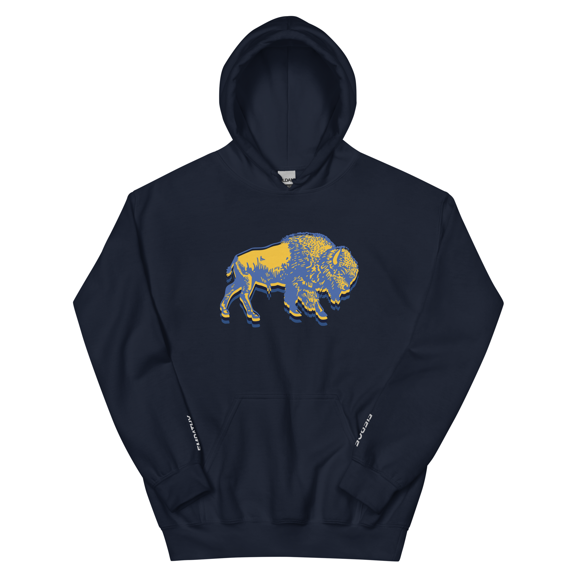 unisex-heavy-blend-hoodie-navy-front-6a9893331dabd.png