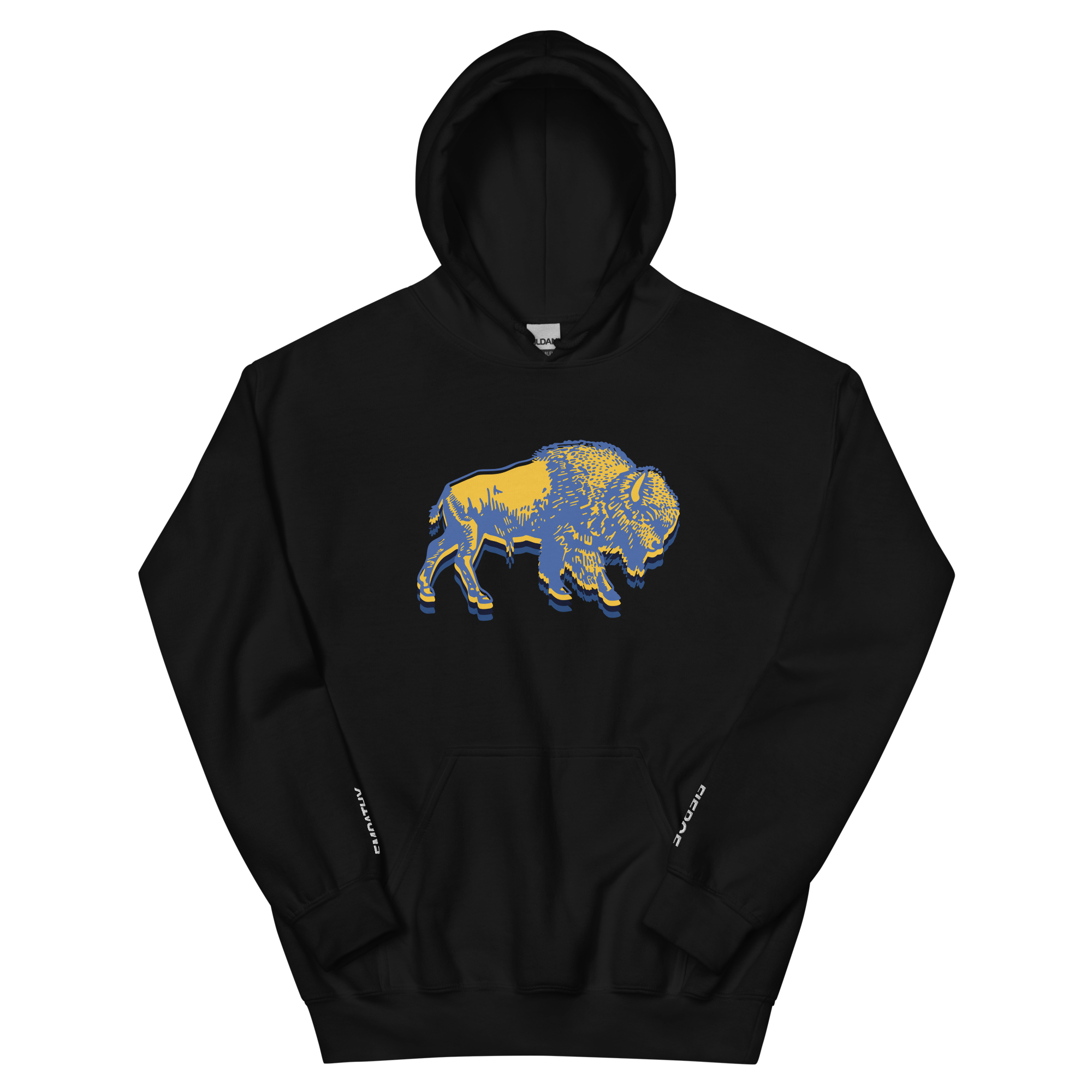 unisex-heavy-blend-hoodie-black-front-6a9893331da0b.png