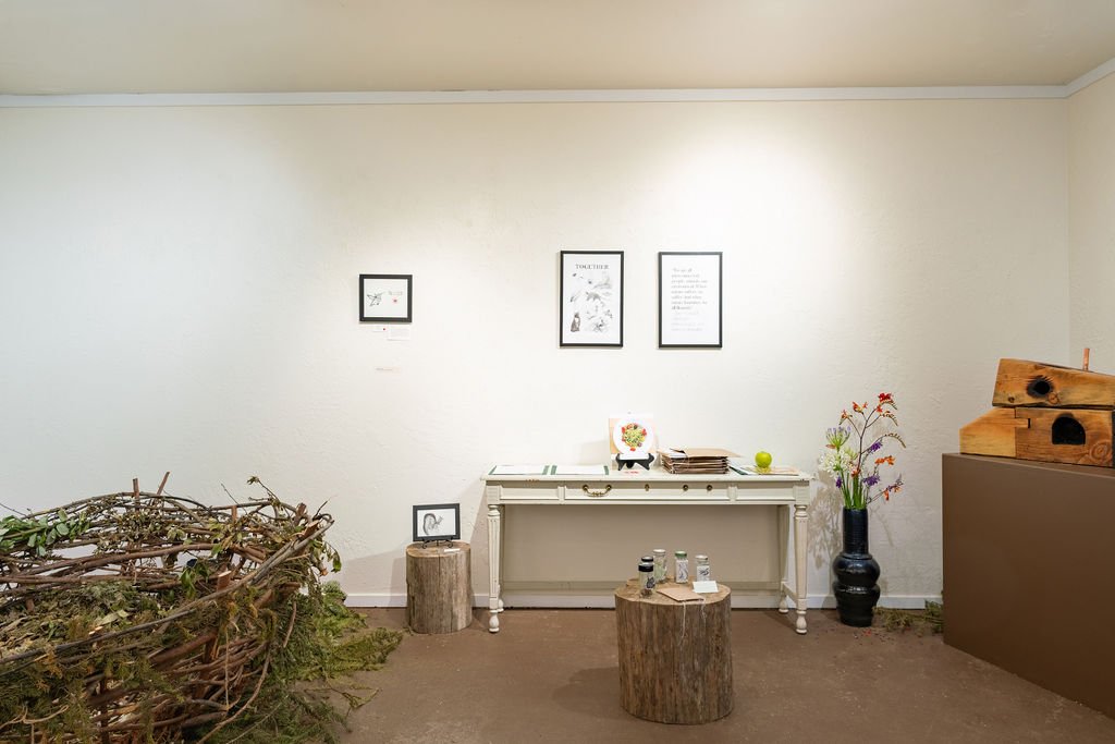 mendocino_art_center_7_3_25_nik_z_photo-9.jpg