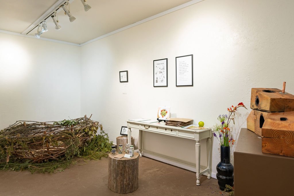 mendocino_art_center_7_3_25_nik_z_photo-8.jpg