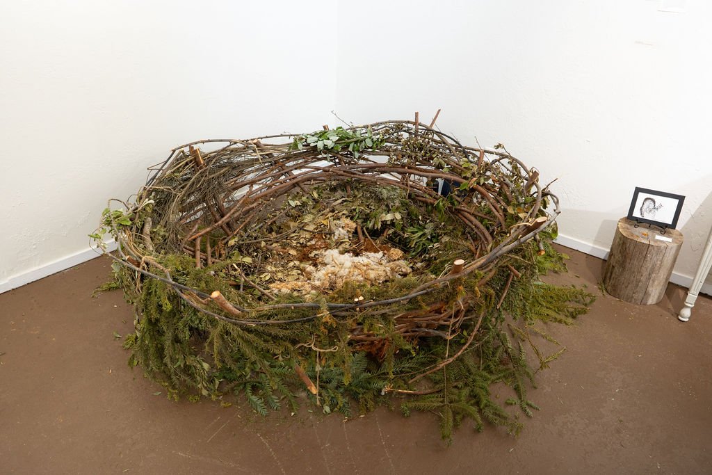 mendocino_art_center_7_3_25_nik_z_photo-10.jpg