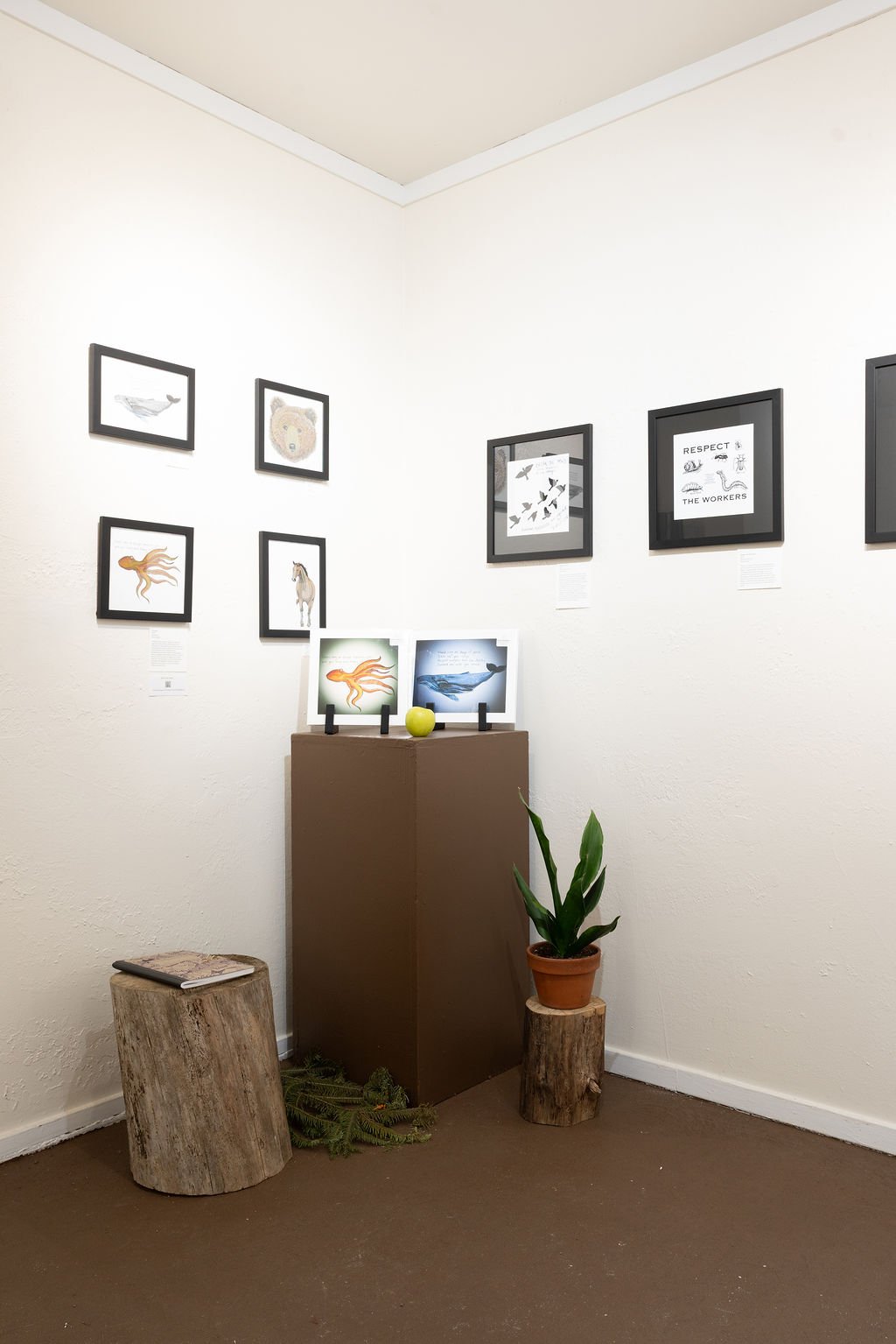 mendocino_art_center_7_3_25_nik_z_photo-12.jpg