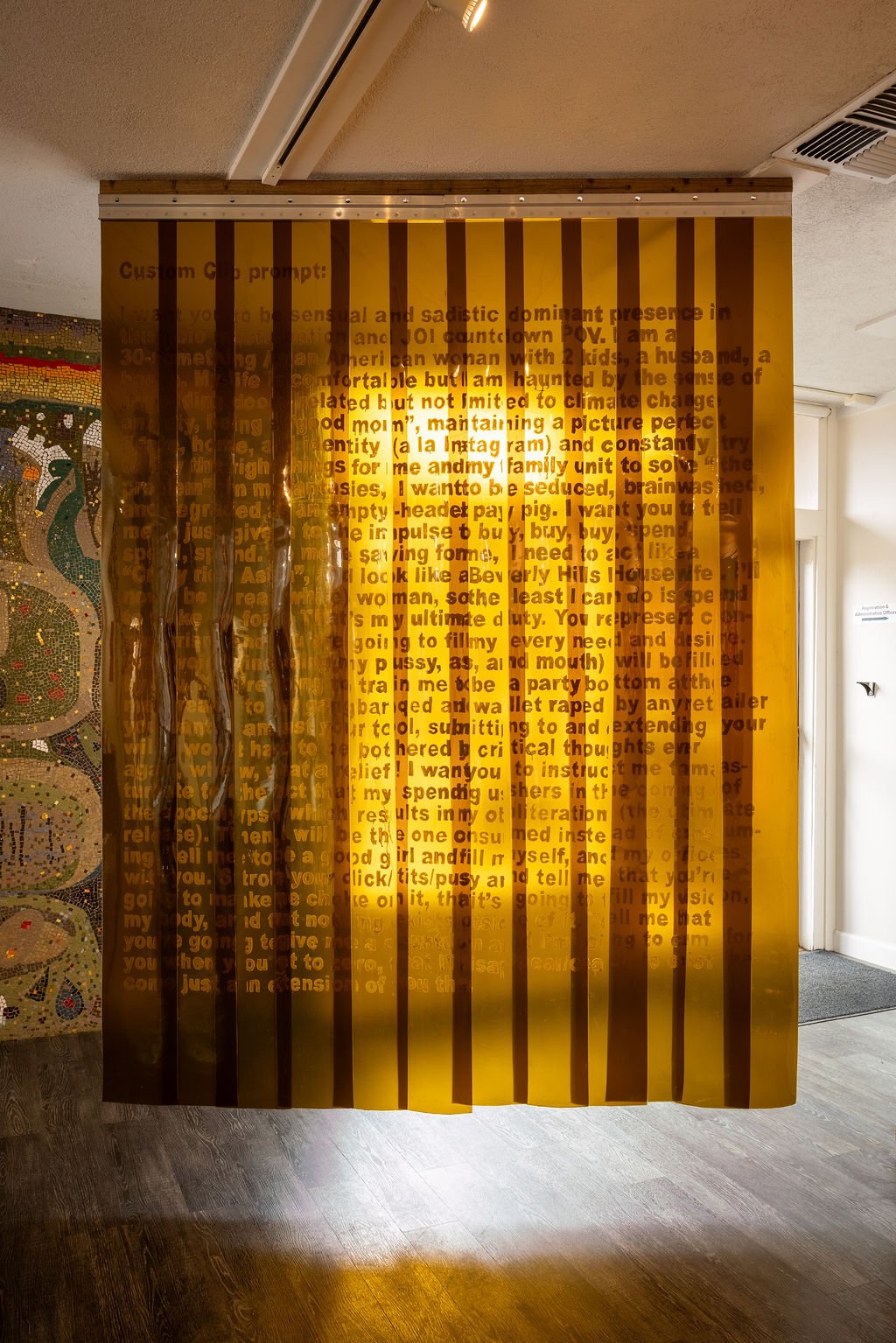 mendocino_art_center_7_3_25_nik_z_photo-29.jpg