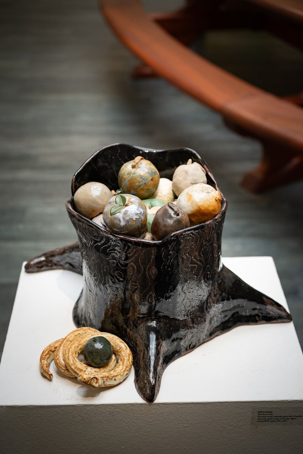 mendocino_art_center_7_3_25_nik_z_photo-36.jpg