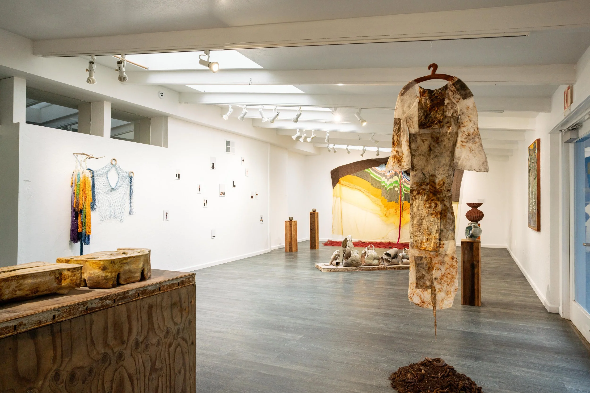 mendocino_art_center_11_12_25_nik_z_photo-3.jpg