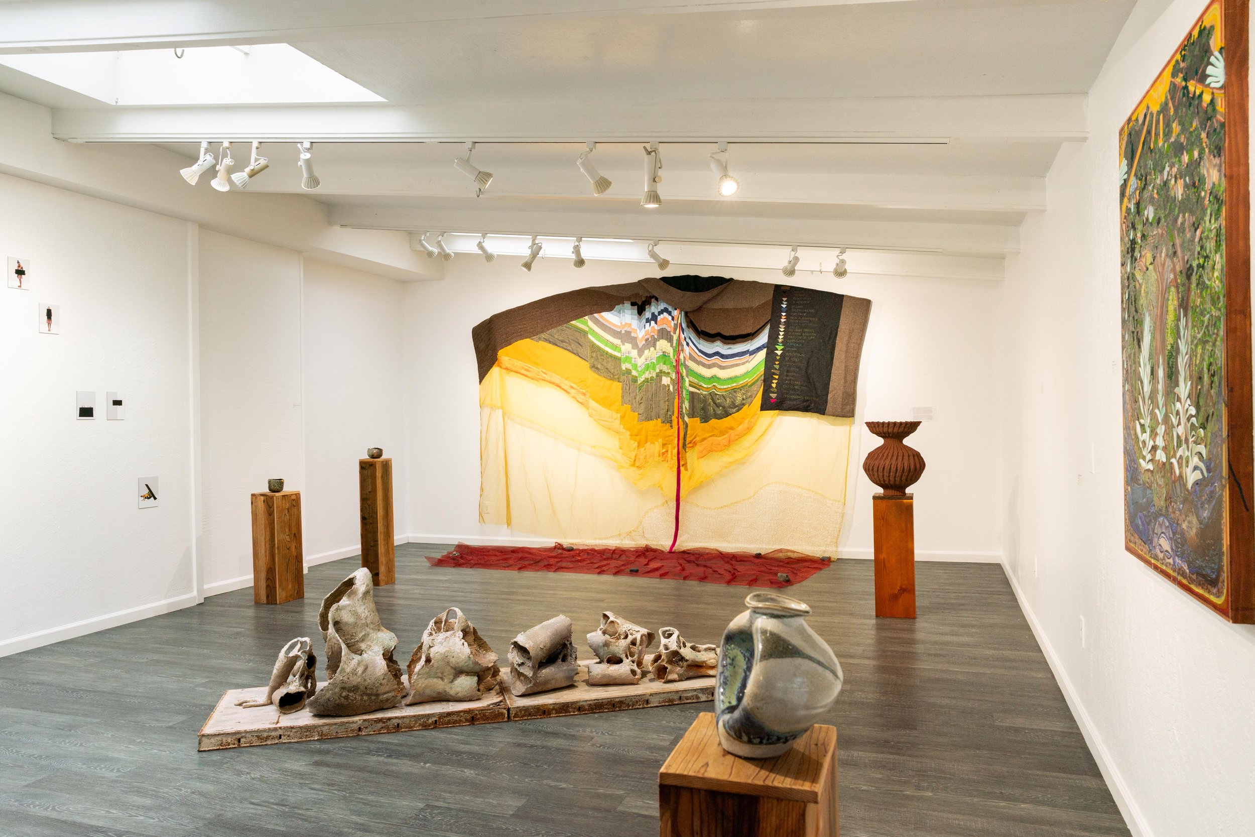 mendocino_art_center_11_12_25_nik_z_photo-4.jpg