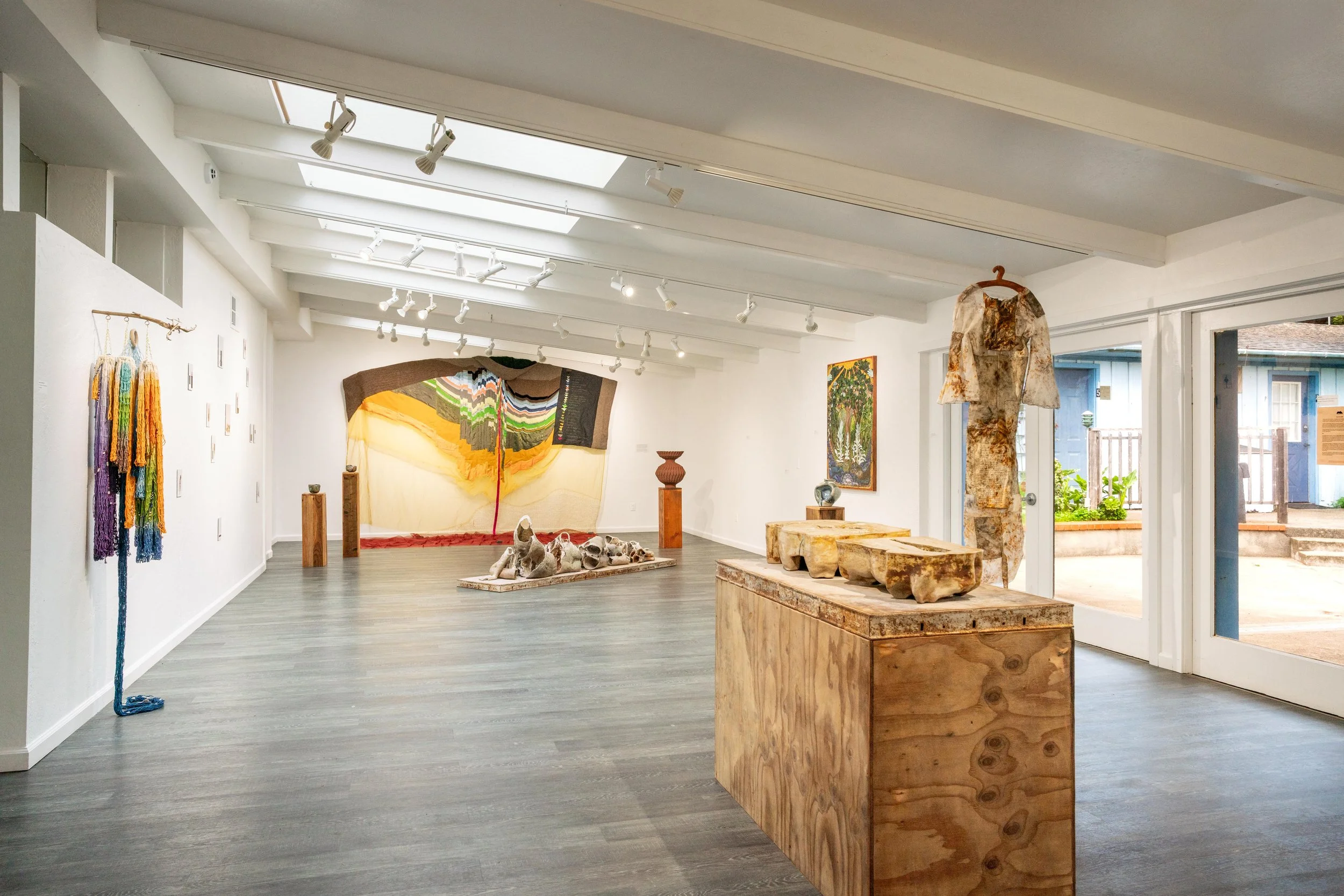 mendocino_art_center_11_12_25_nik_z_photo-1.jpg