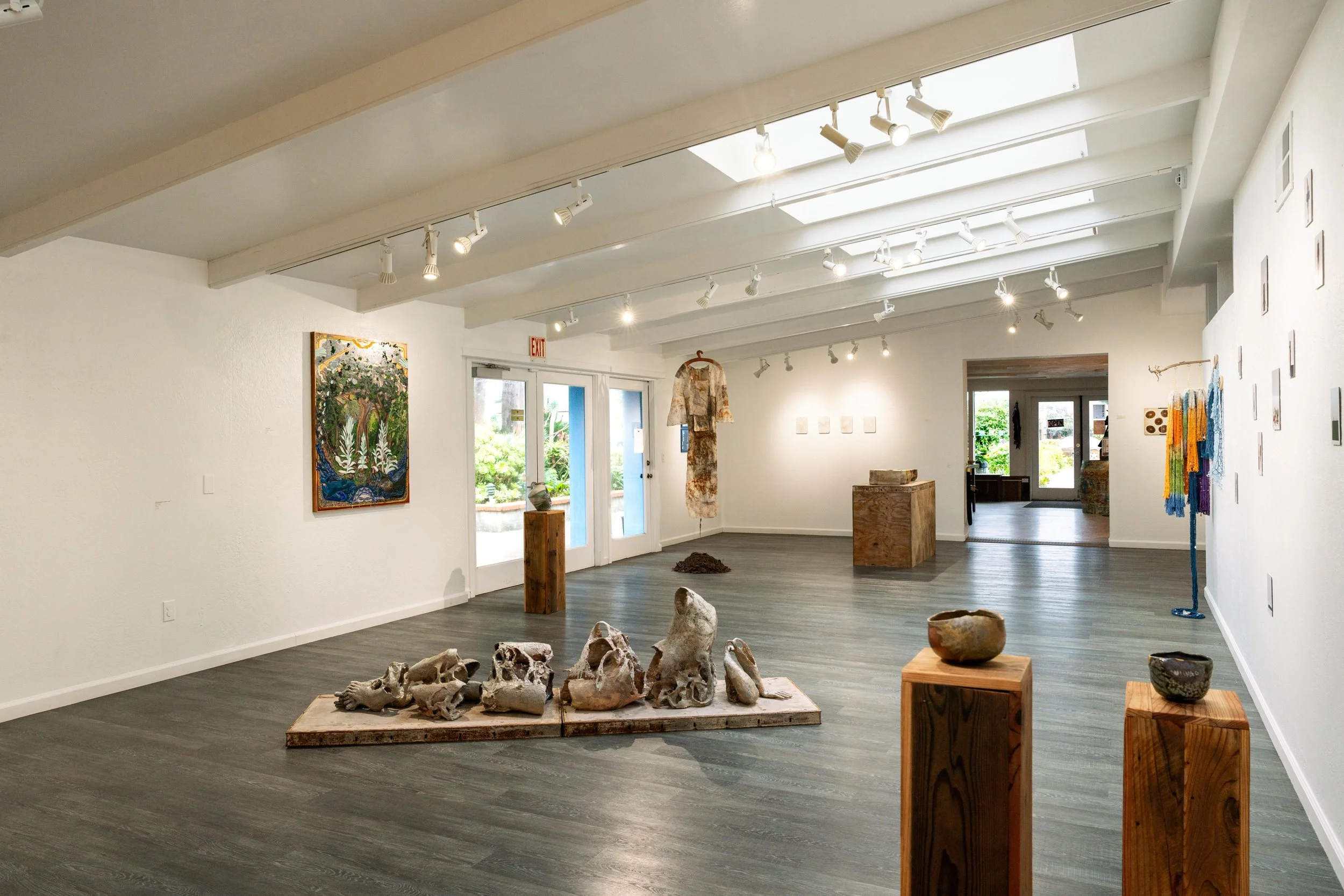 mendocino_art_center_11_12_25_nik_z_photo-5.jpg