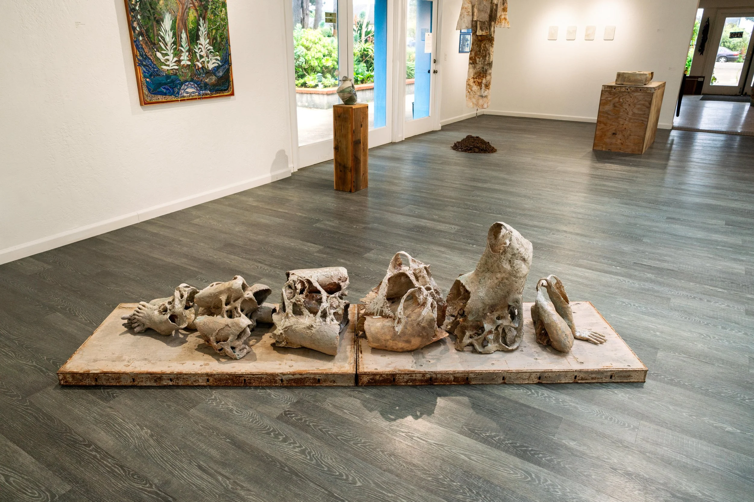 mendocino_art_center_11_12_25_nik_z_photo-6.jpg
