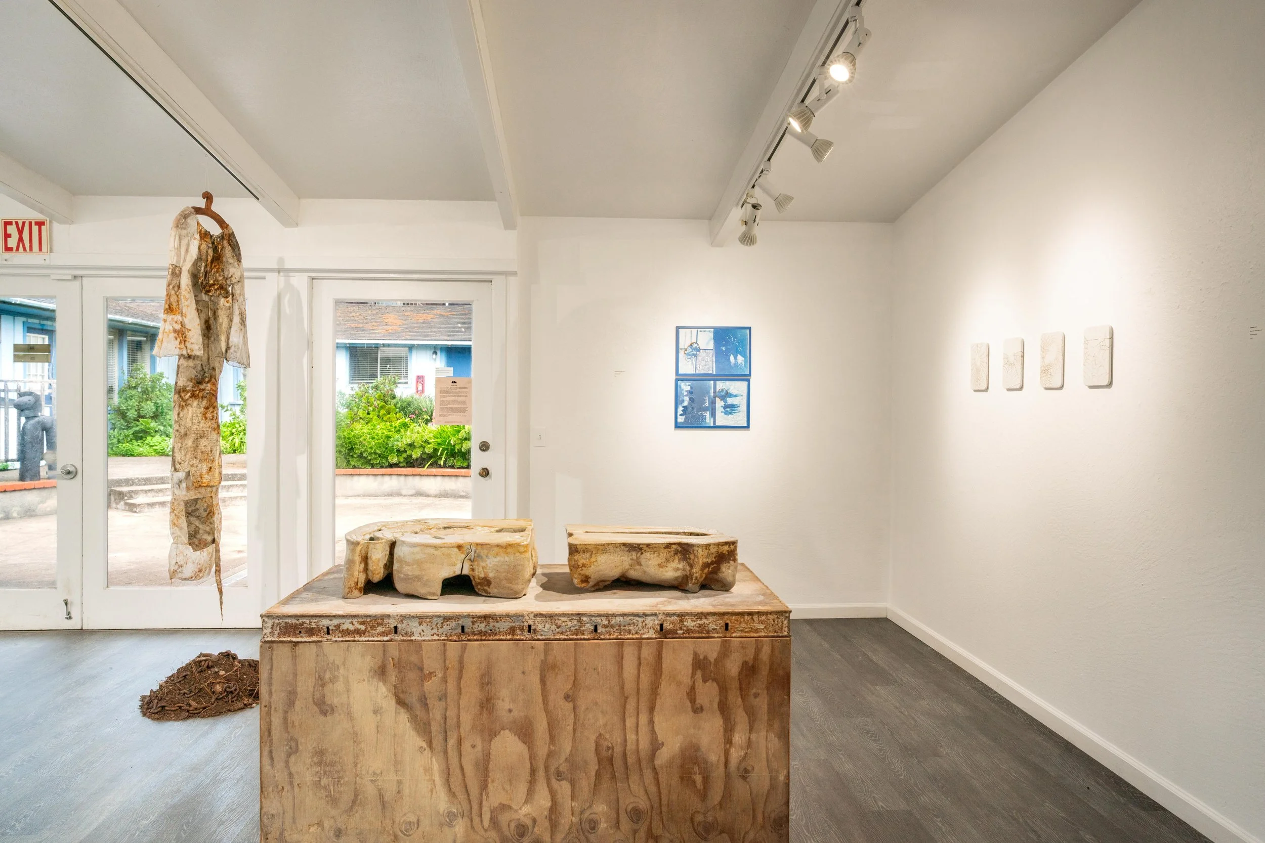 mendocino_art_center_11_12_25_nik_z_photo-9.jpg