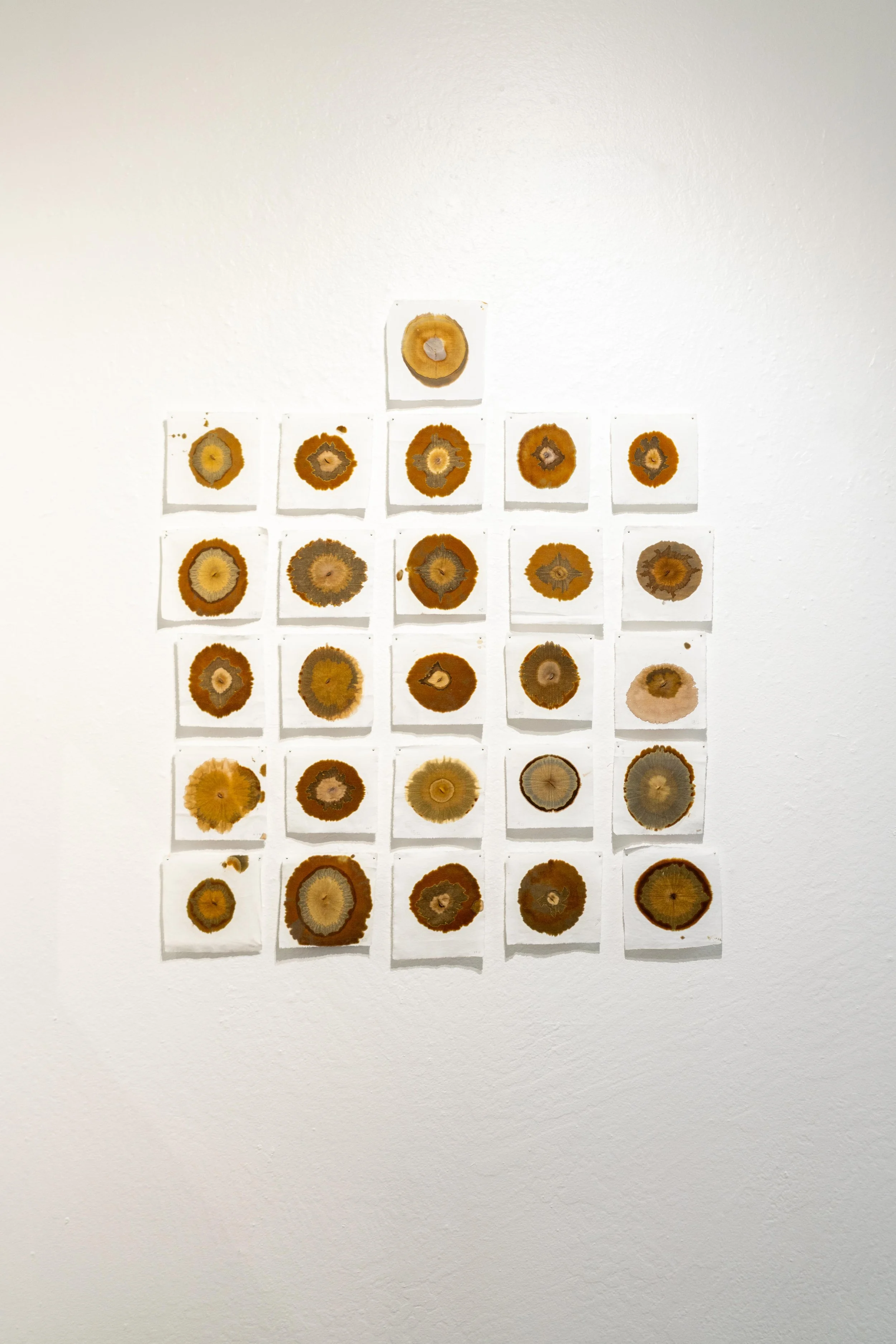 mendocino_art_center_11_12_25_nik_z_photo-14.jpg