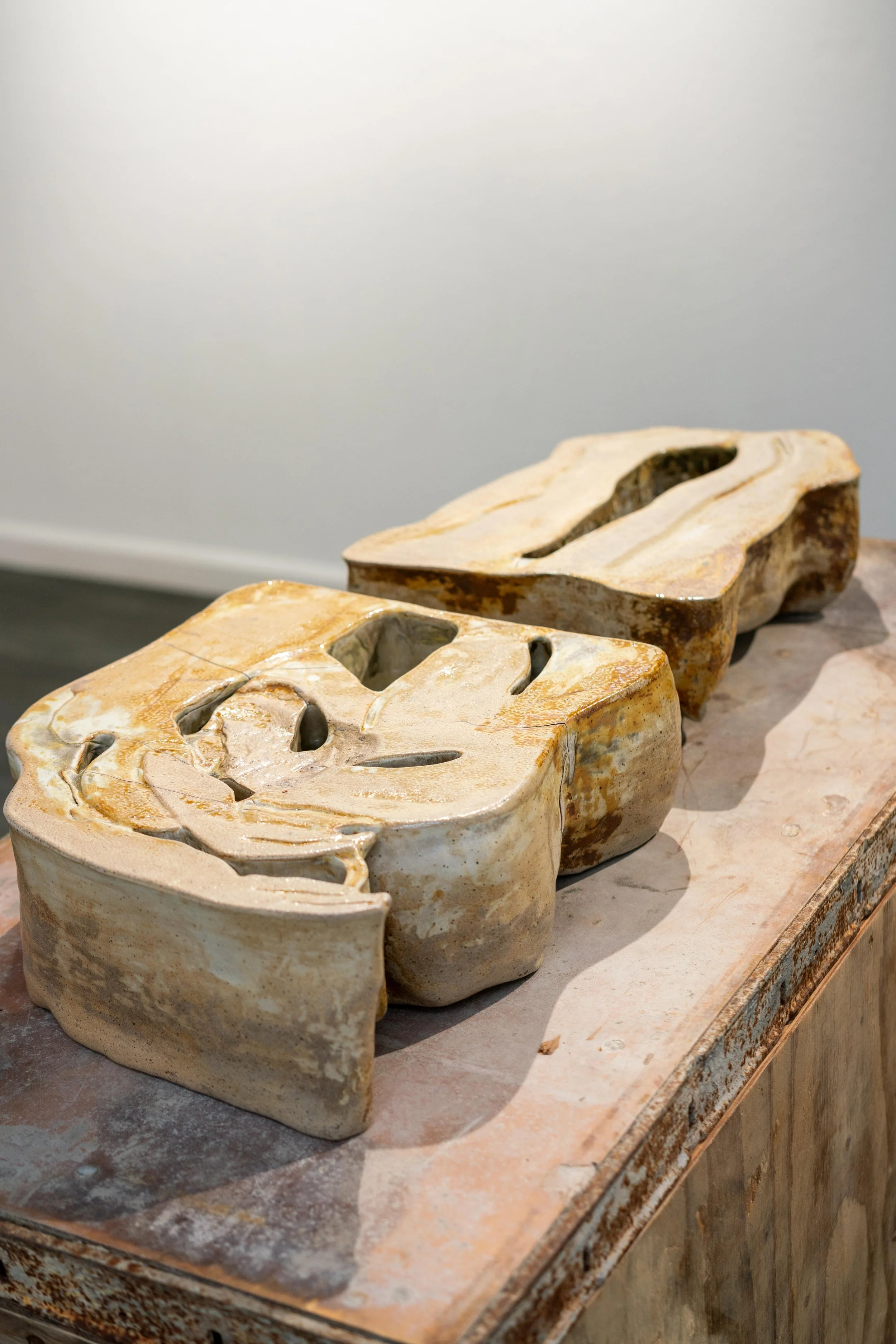 mendocino_art_center_11_12_25_nik_z_photo-19.jpg