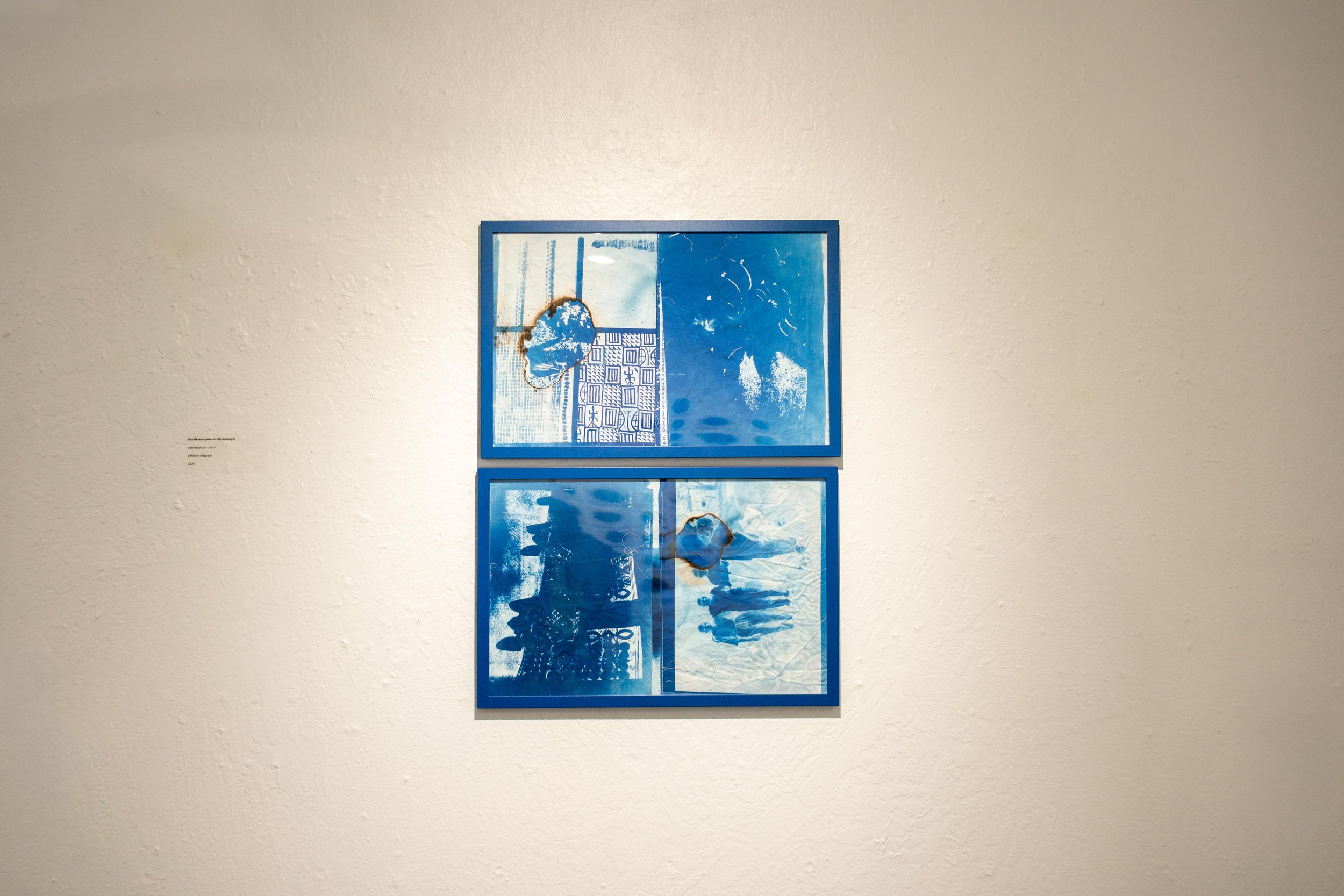 mendocino_art_center_11_12_25_nik_z_photo-20.jpg