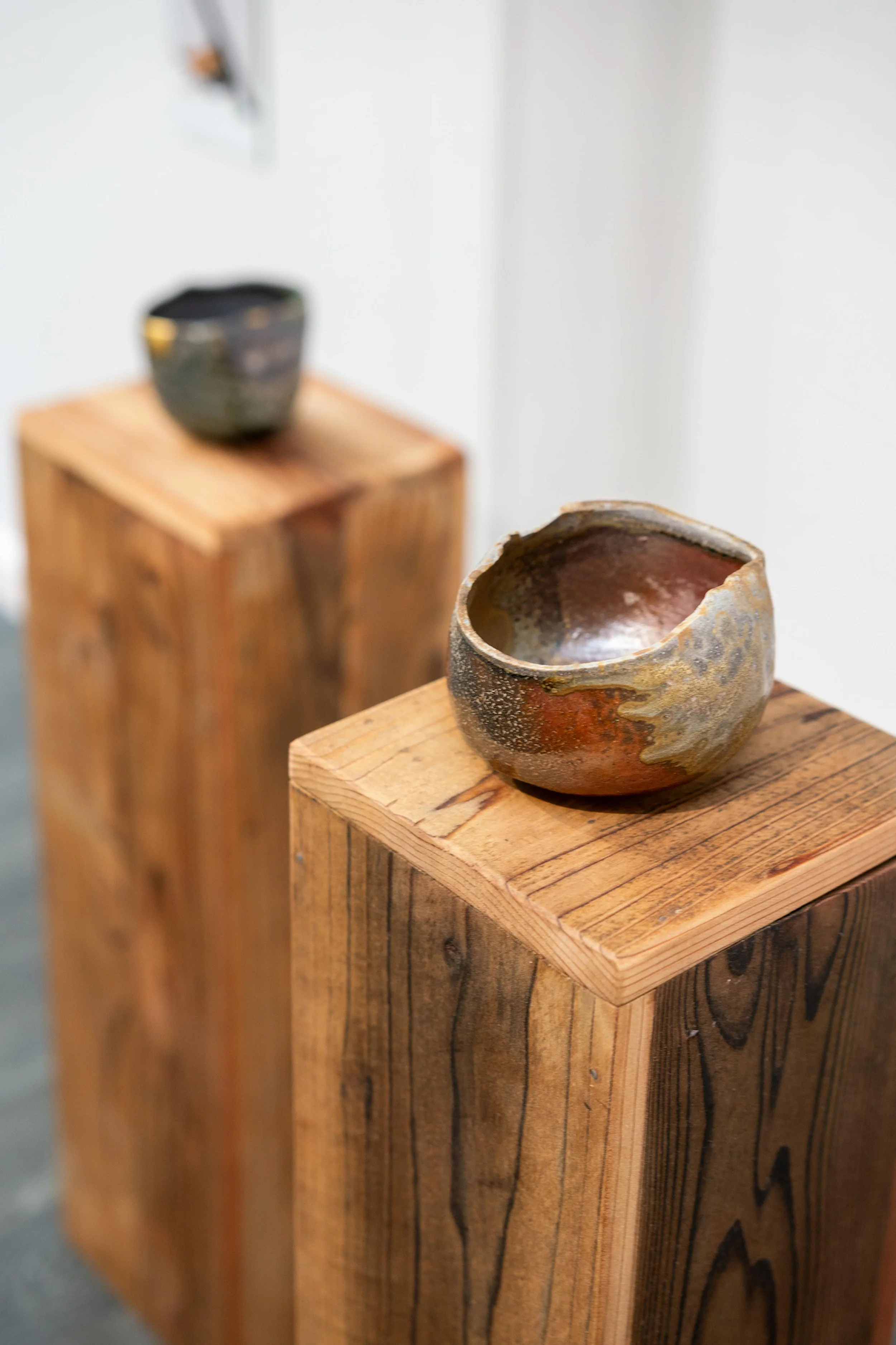 mendocino_art_center_11_12_25_nik_z_photo-25.jpg
