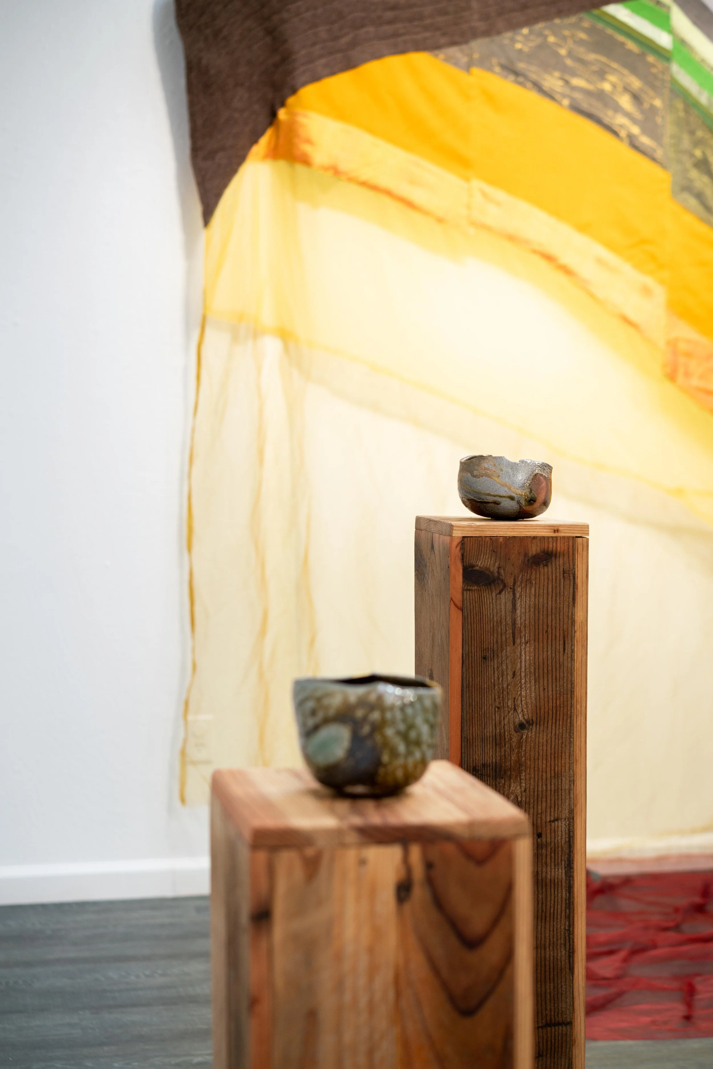 mendocino_art_center_11_12_25_nik_z_photo-27.jpg