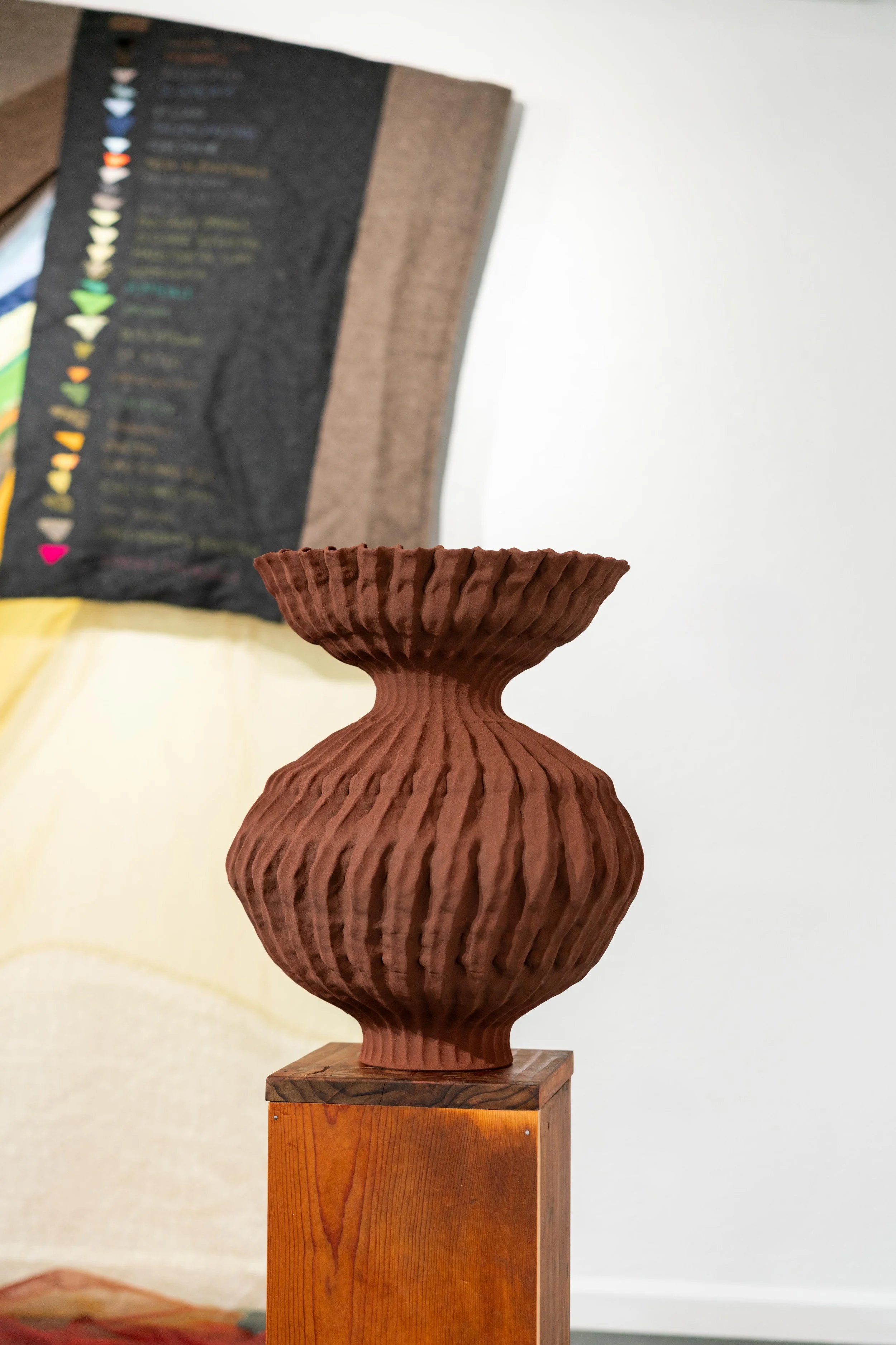 mendocino_art_center_11_12_25_nik_z_photo-24.jpg