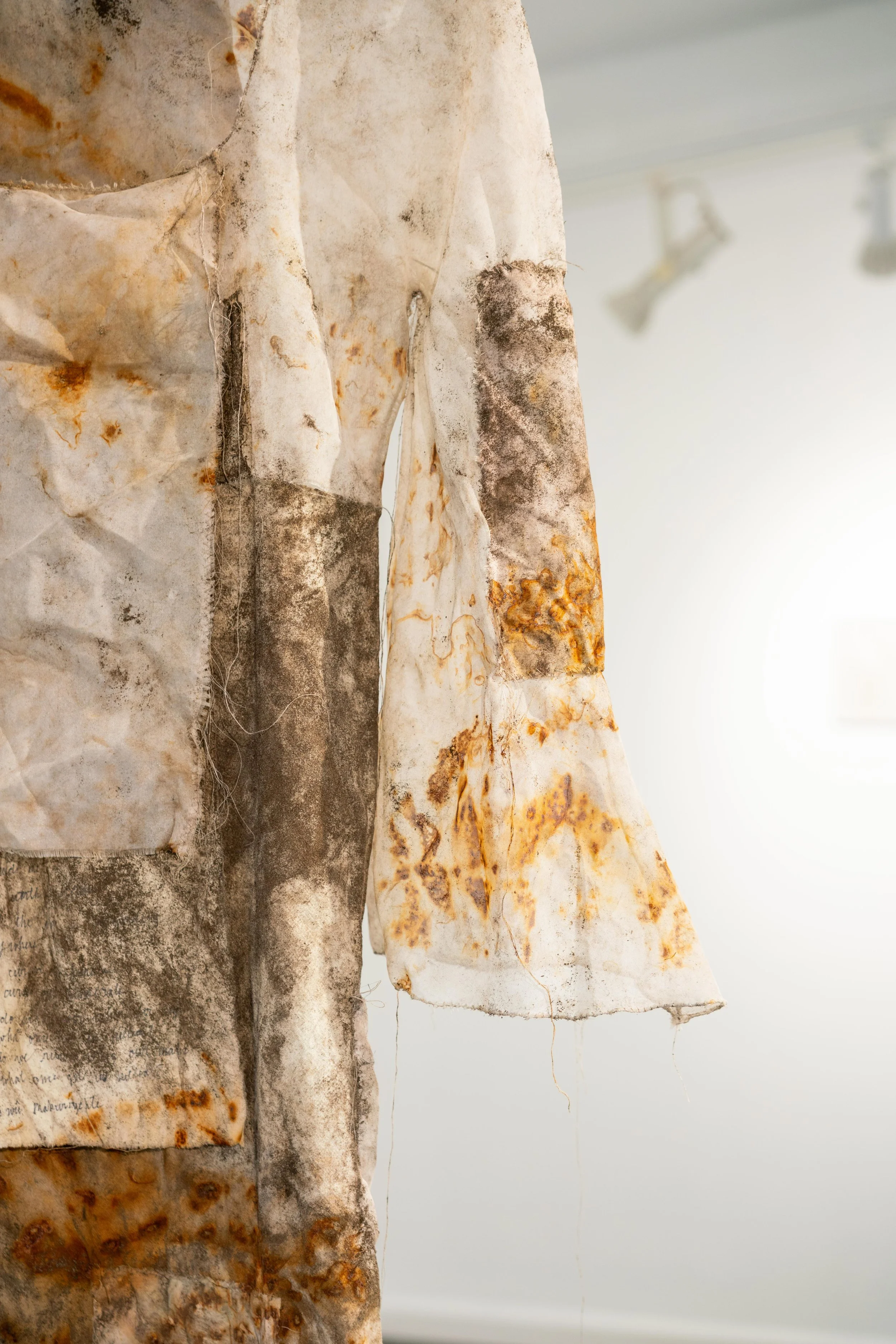 mendocino_art_center_11_12_25_nik_z_photo-30.jpg
