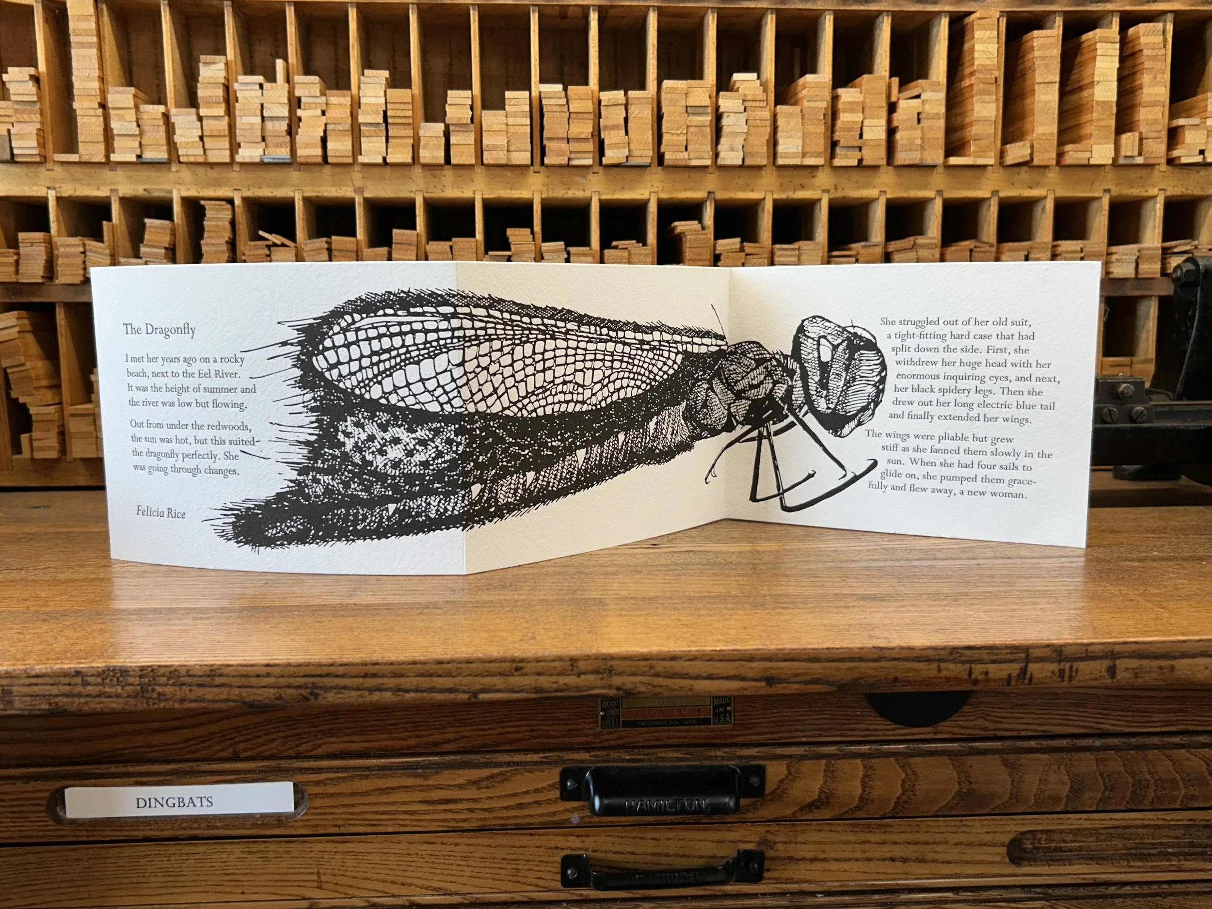 Felicia Rice: Changes