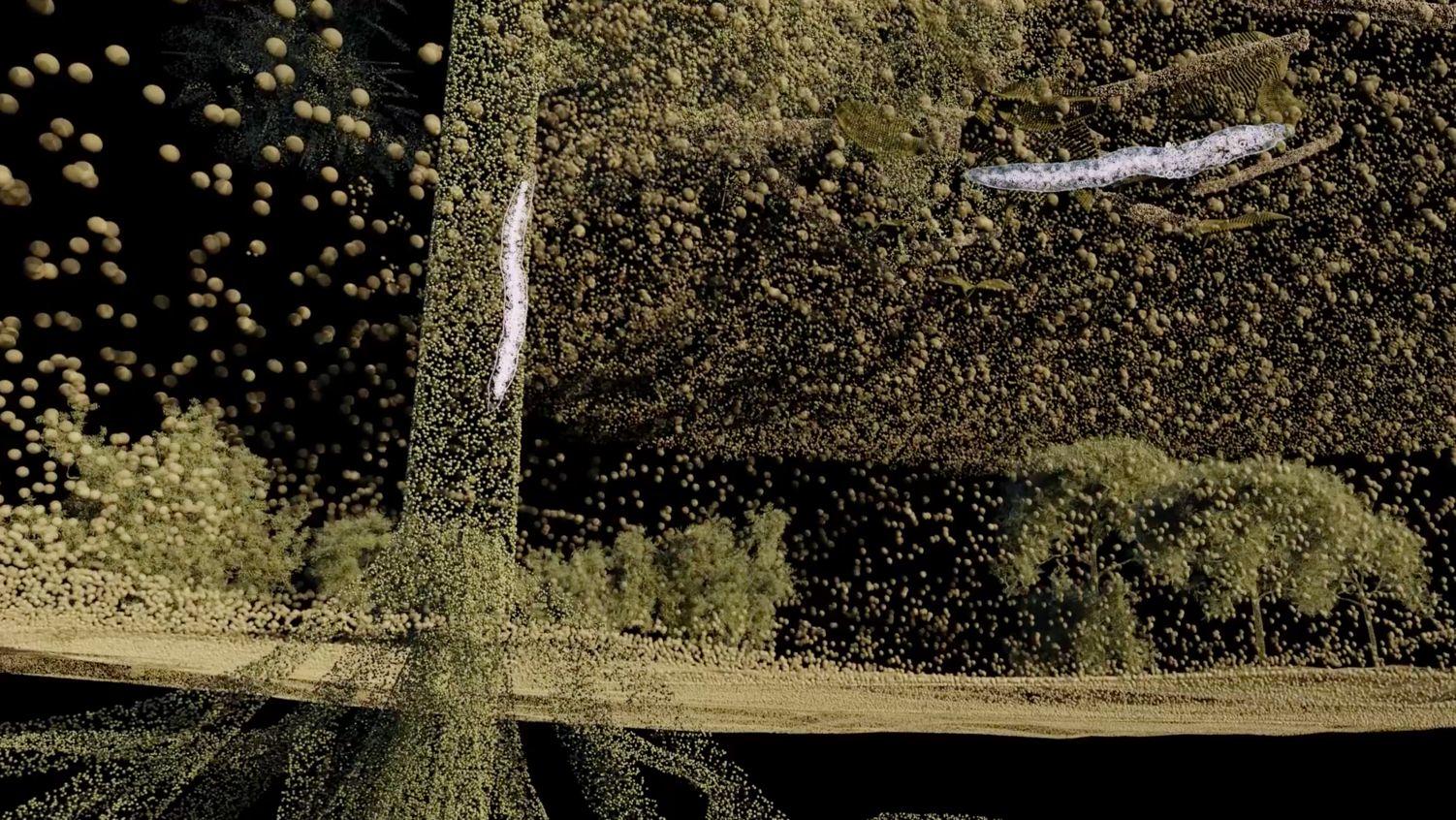 From The Mouths of Worms