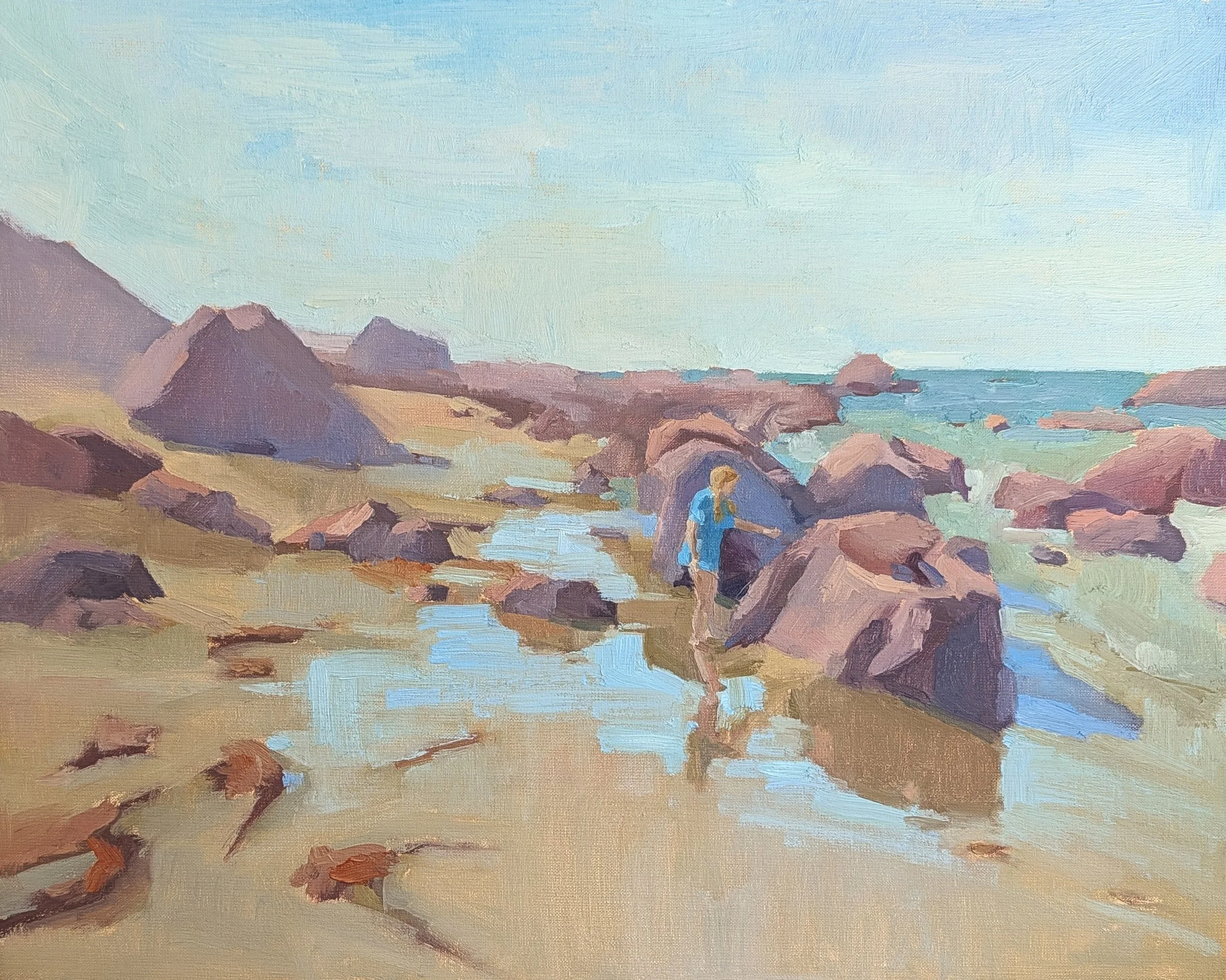 Coastal Symphony:   A Solo Exhibition by Claudia Savage