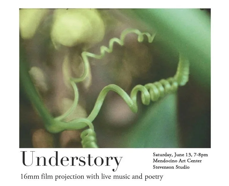 Understory: Film Screening, Poetry and Music.