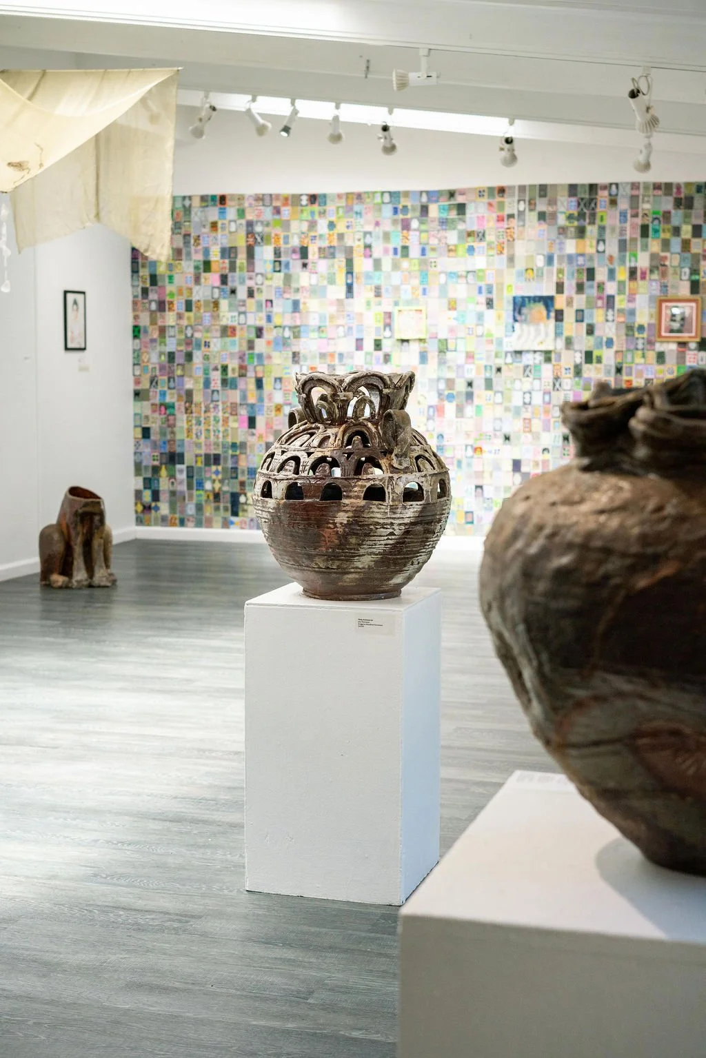 mendocino_art_center_may_2026_nik_z_photo-3.jpg