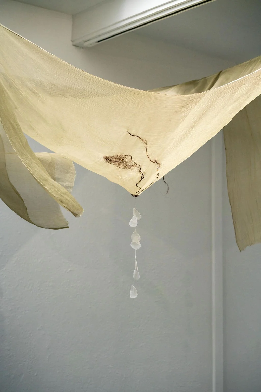 mendocino_art_center_may_2026_nik_z_photo-6.jpg
