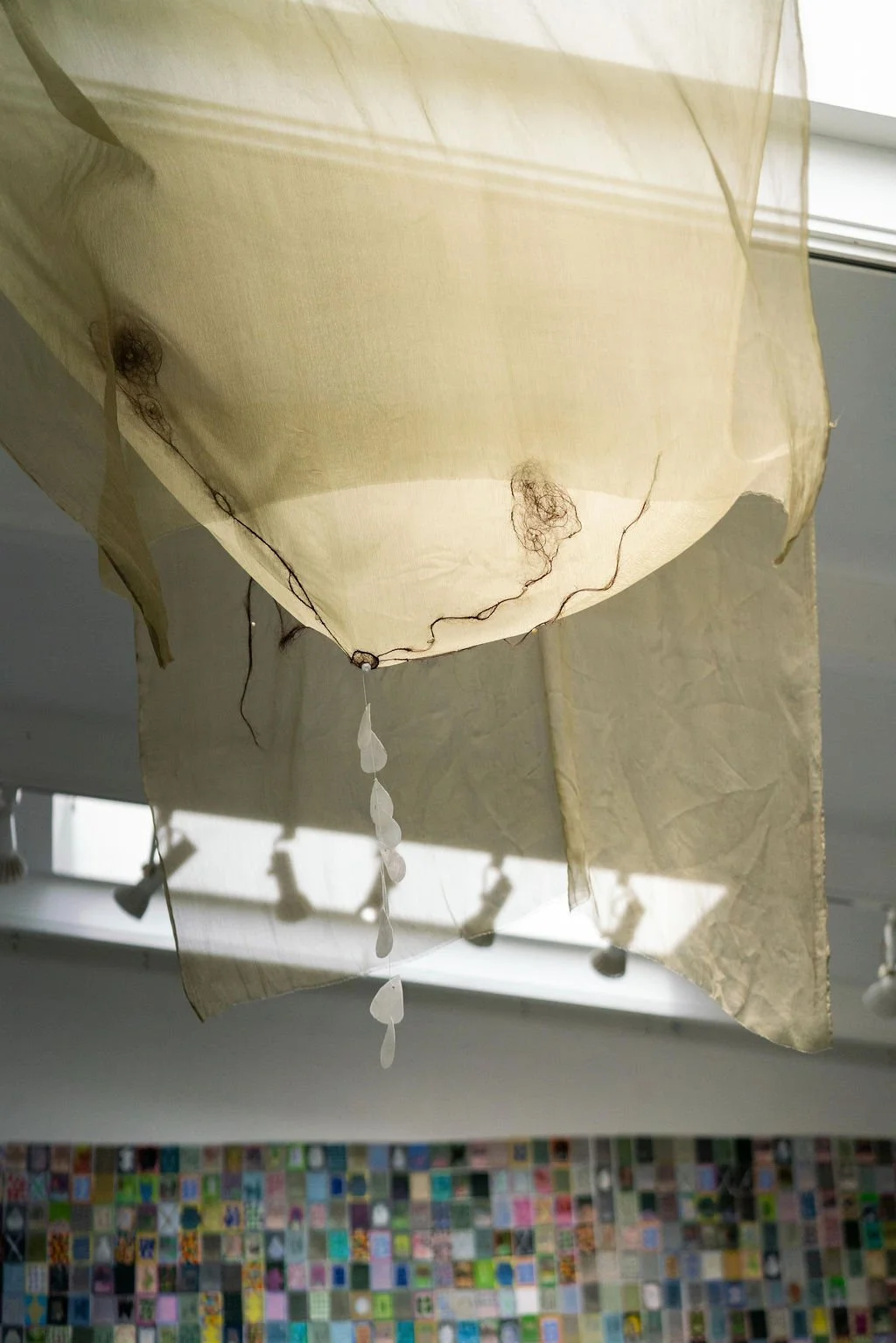 mendocino_art_center_may_2026_nik_z_photo-7.jpg
