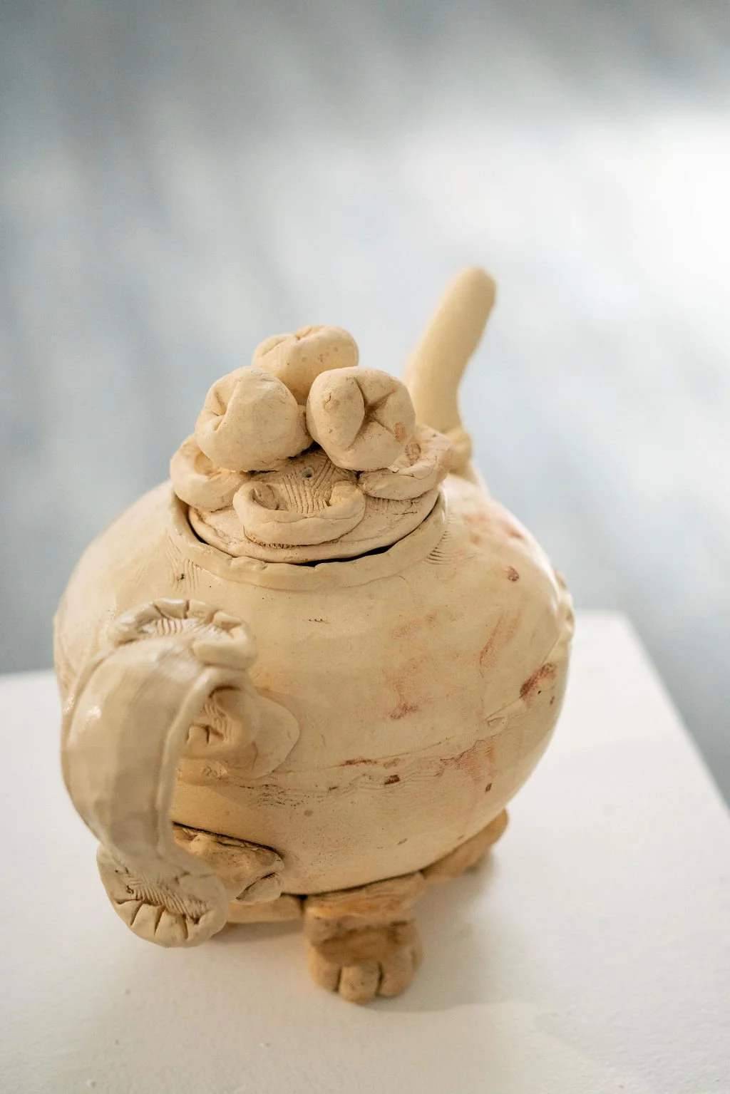 mendocino_art_center_may_2026_nik_z_photo-23.jpg