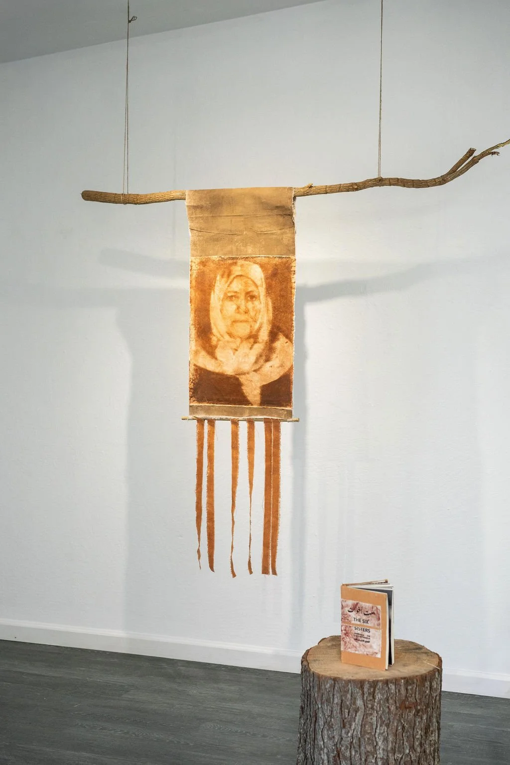 mendocino_art_center_may_2026_nik_z_photo-30.jpg
