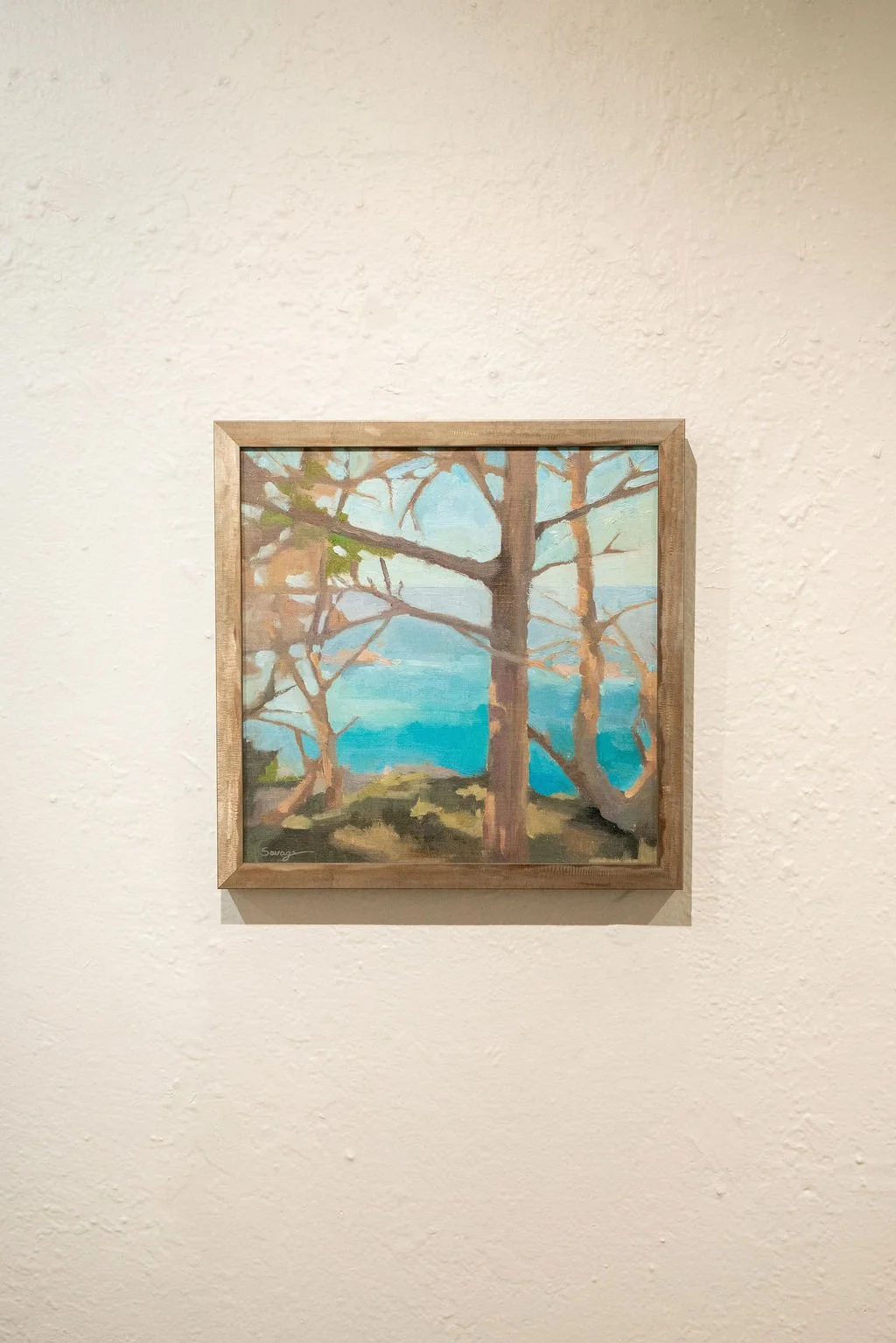 mendocino_art_center_may_2026_nik_z_photo-58.jpg