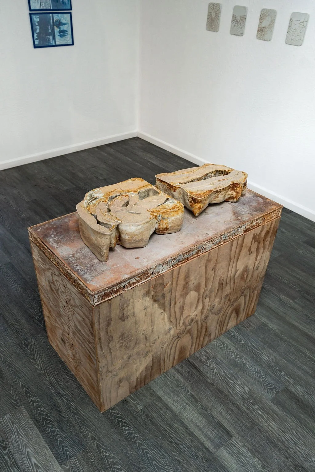 mendocino_art_center_11_12_25_nik_z_photo-43.jpg