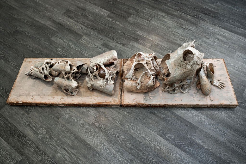 mendocino_art_center_11_12_25_nik_z_photo-46.jpg