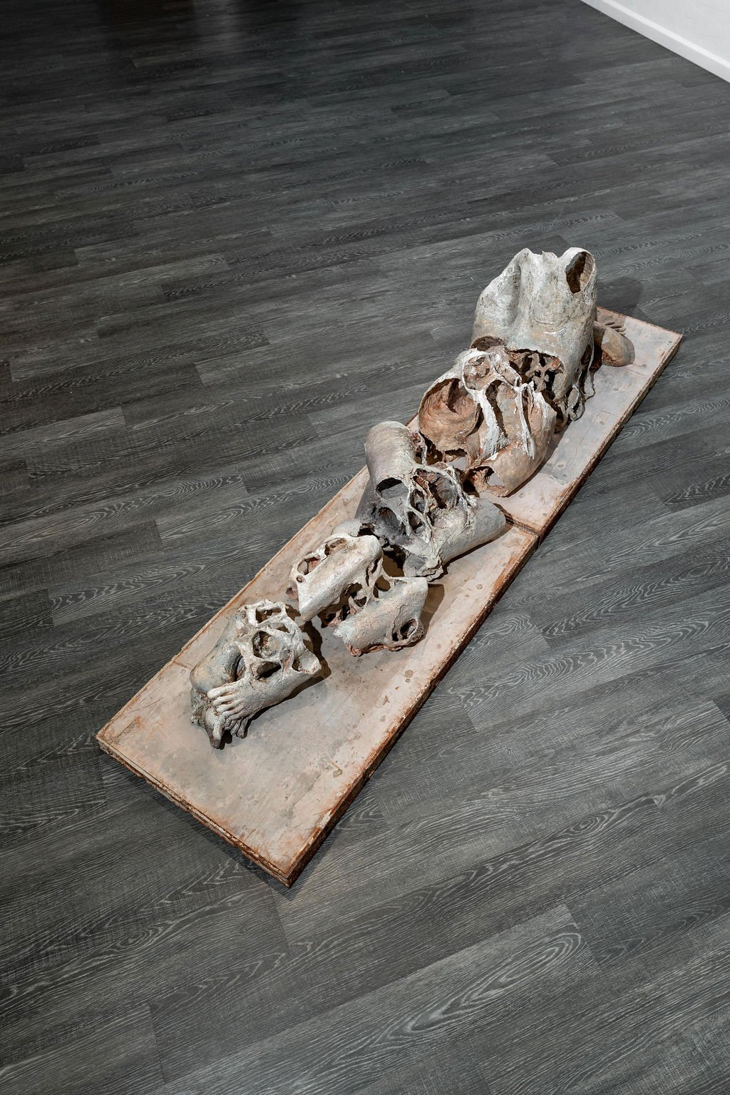 mendocino_art_center_11_12_25_nik_z_photo-47.jpg