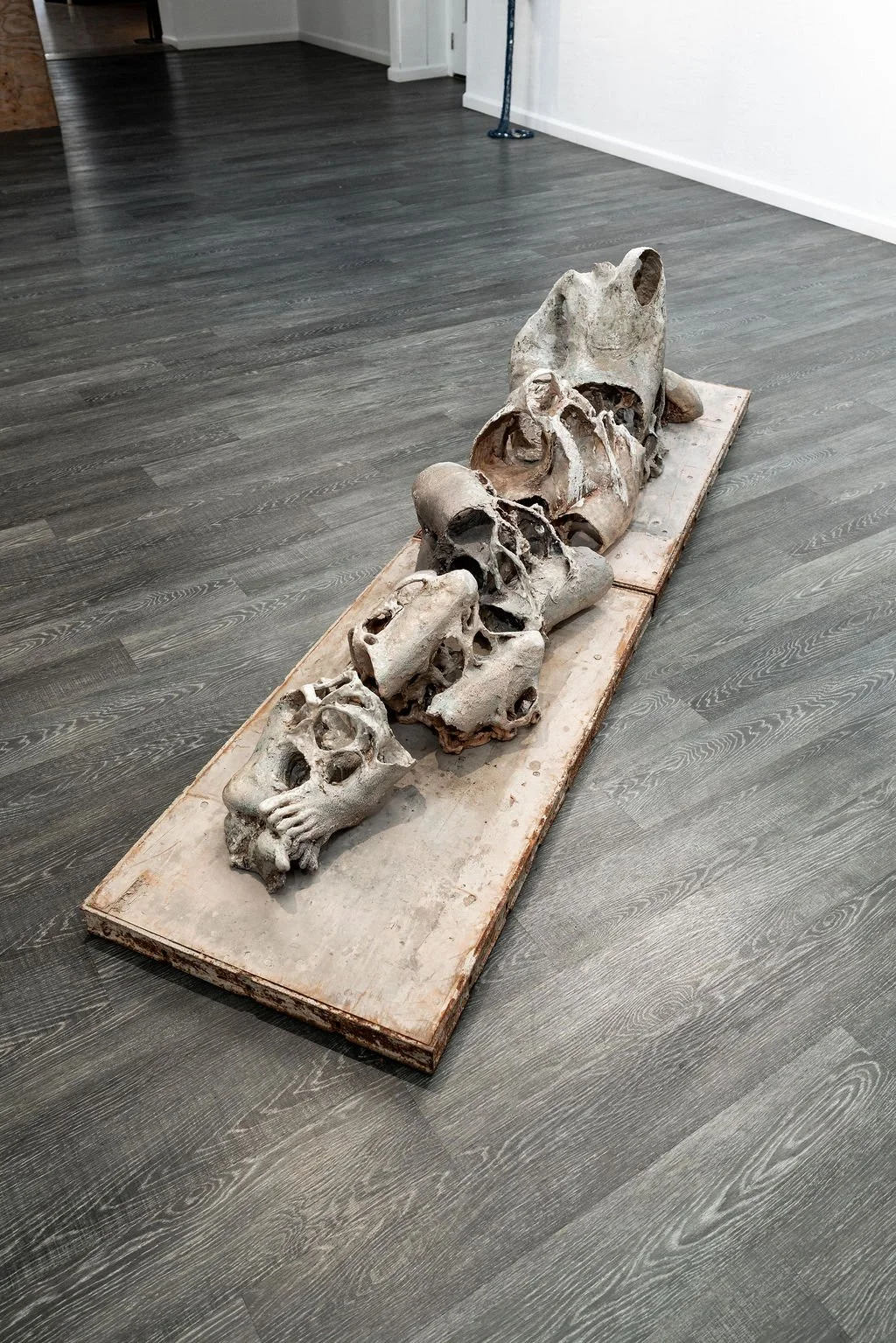 mendocino_art_center_11_12_25_nik_z_photo-48.jpg