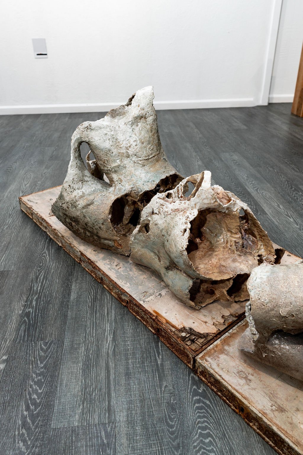 mendocino_art_center_11_12_25_nik_z_photo-49.jpg