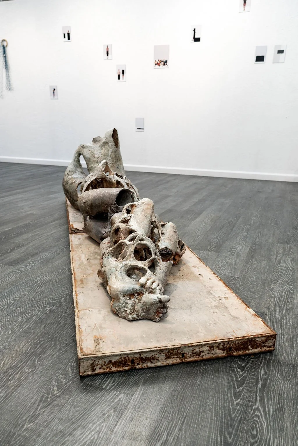 mendocino_art_center_11_12_25_nik_z_photo-50.jpg