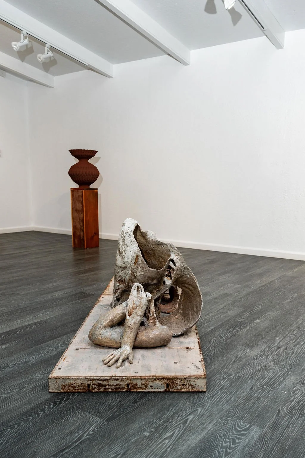 mendocino_art_center_11_12_25_nik_z_photo-51.jpg