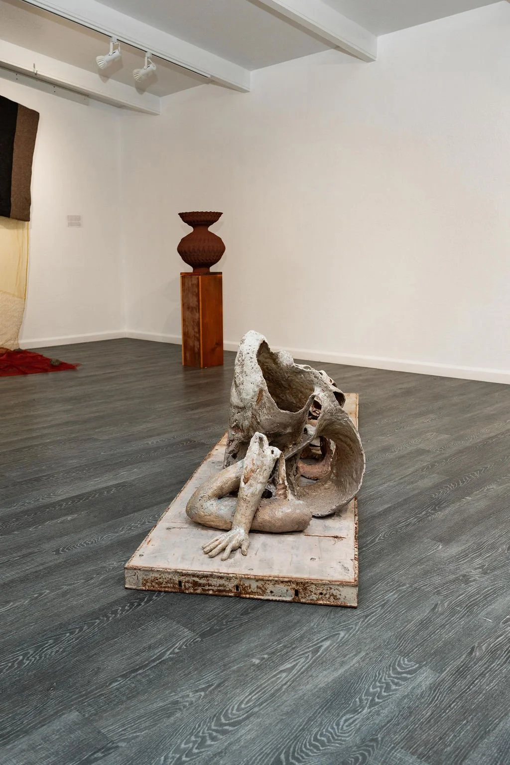mendocino_art_center_11_12_25_nik_z_photo-52.jpg