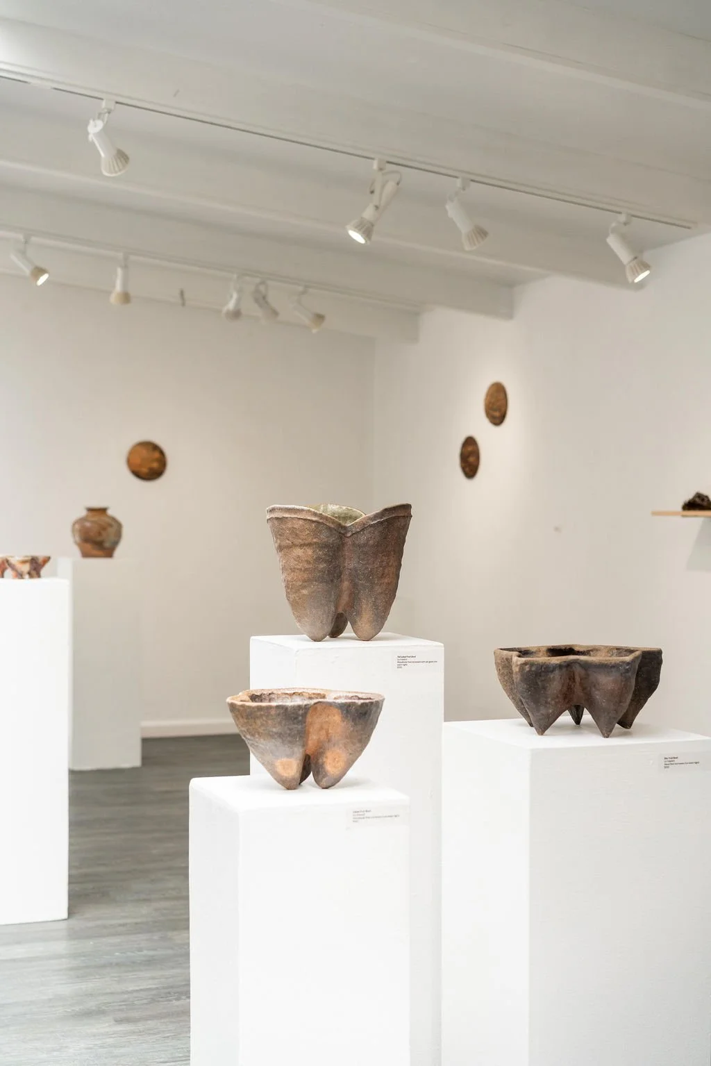 mendocino_art_center_april_2026_nik_z_photo-3.jpg