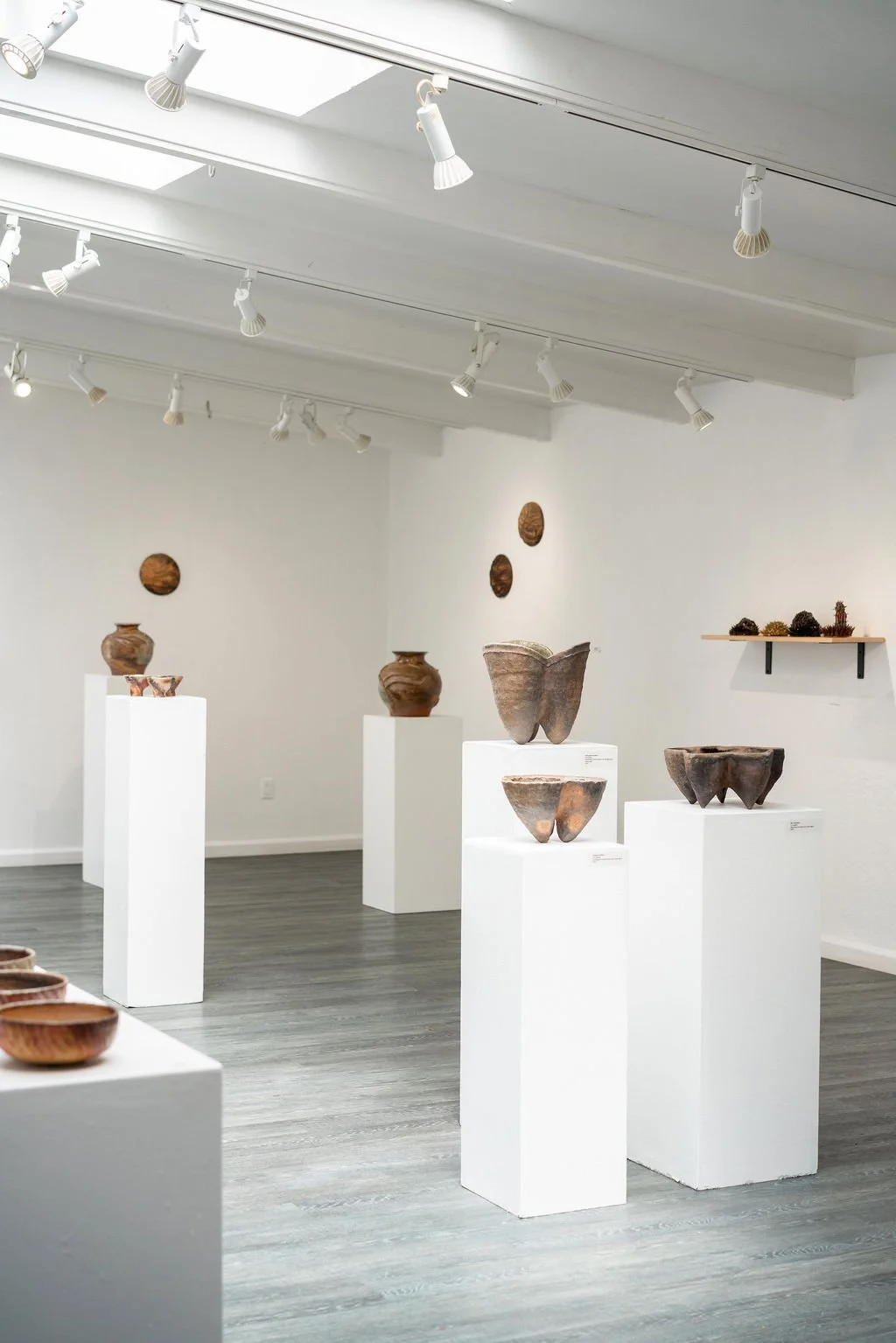 mendocino_art_center_april_2026_nik_z_photo-6.jpg