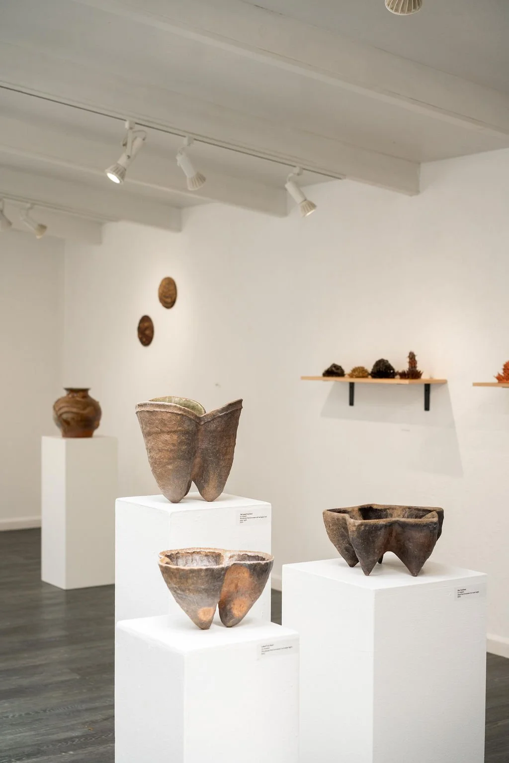 mendocino_art_center_april_2026_nik_z_photo-8.jpg