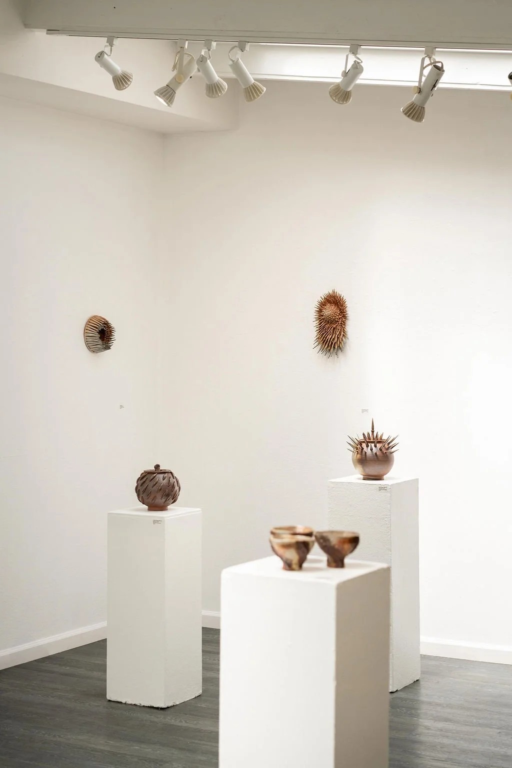 mendocino_art_center_april_2026_nik_z_photo-9.jpg