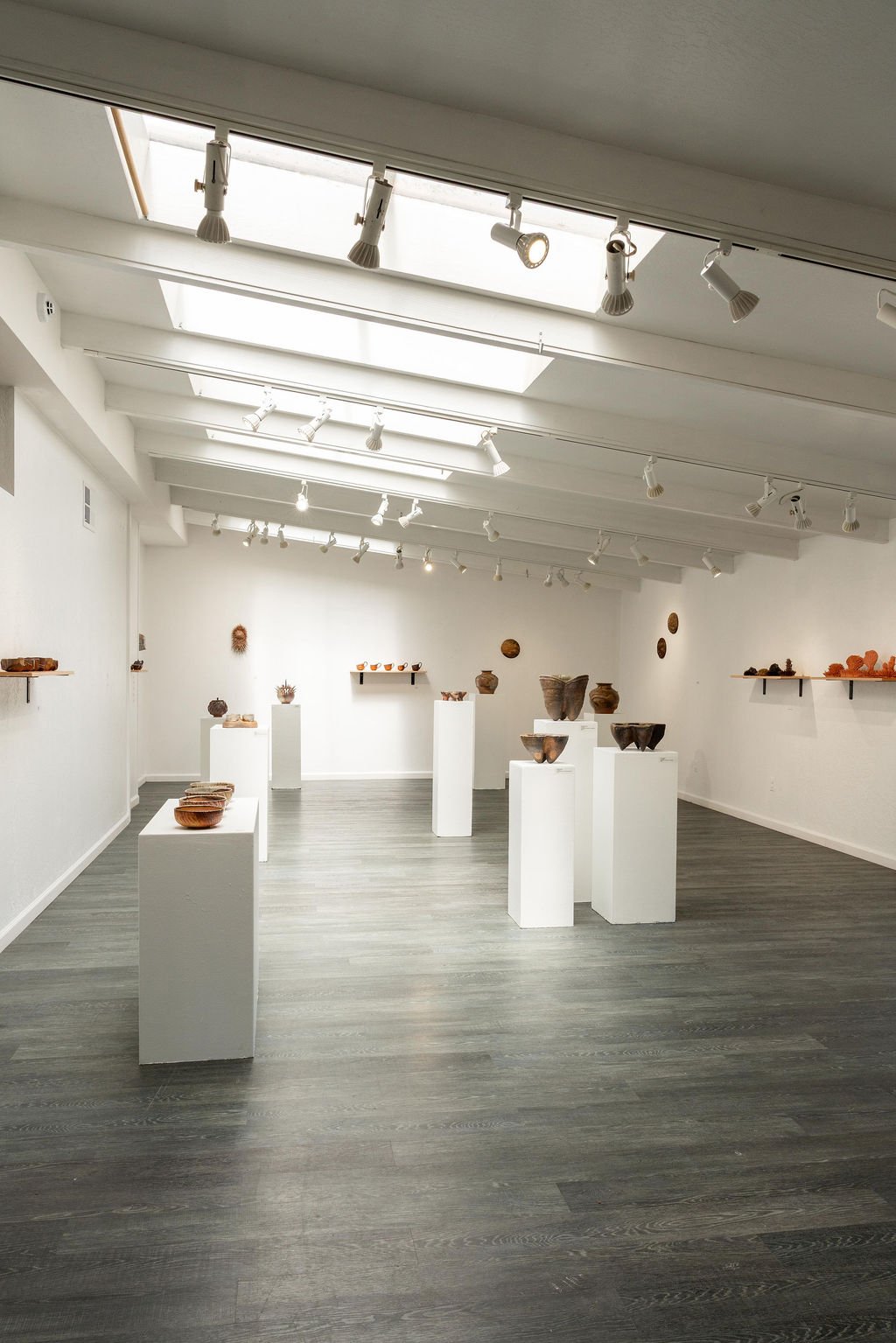 mendocino_art_center_april_2026_nik_z_photo-10.jpg