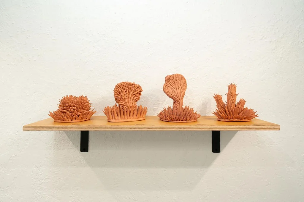 mendocino_art_center_april_2026_nik_z_photo-14.jpg