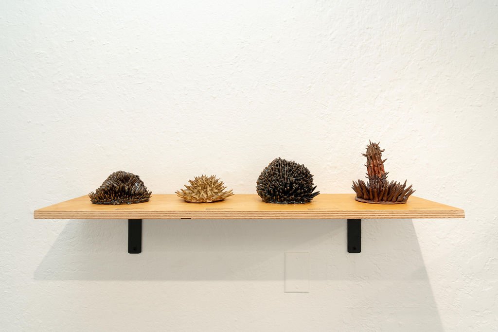 mendocino_art_center_april_2026_nik_z_photo-15.jpg