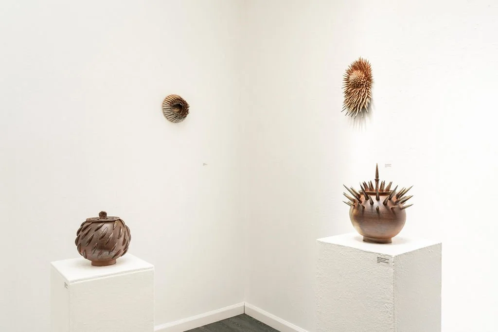 mendocino_art_center_april_2026_nik_z_photo-18.jpg