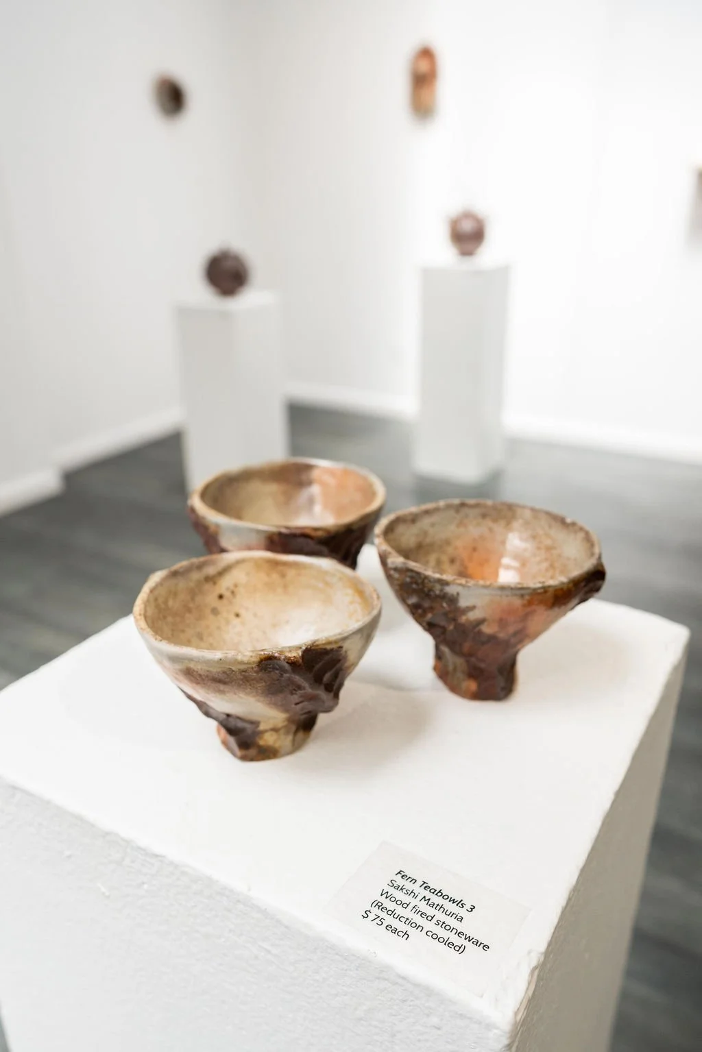 mendocino_art_center_april_2026_nik_z_photo-22.jpg