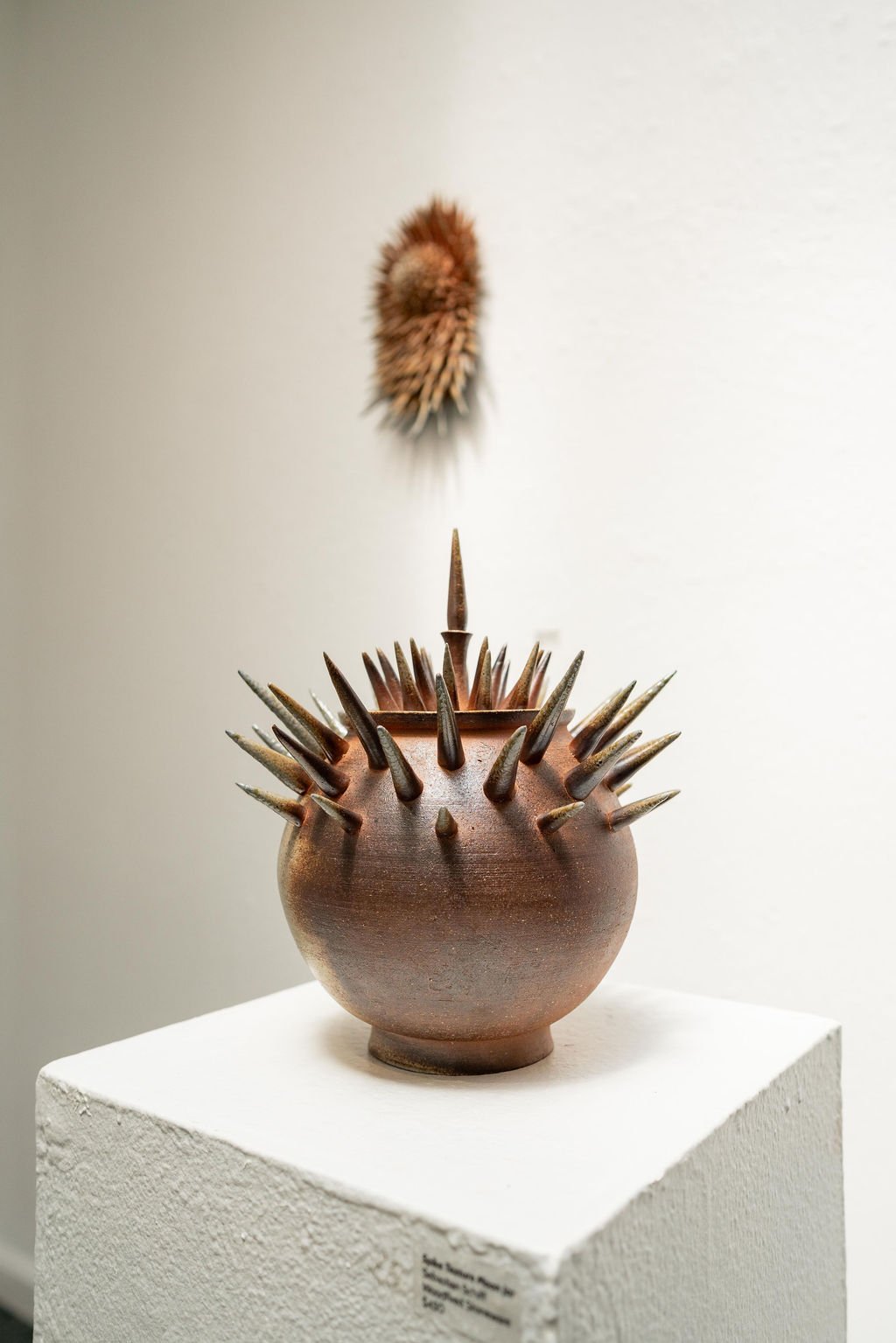 mendocino_art_center_april_2026_nik_z_photo-26.jpg